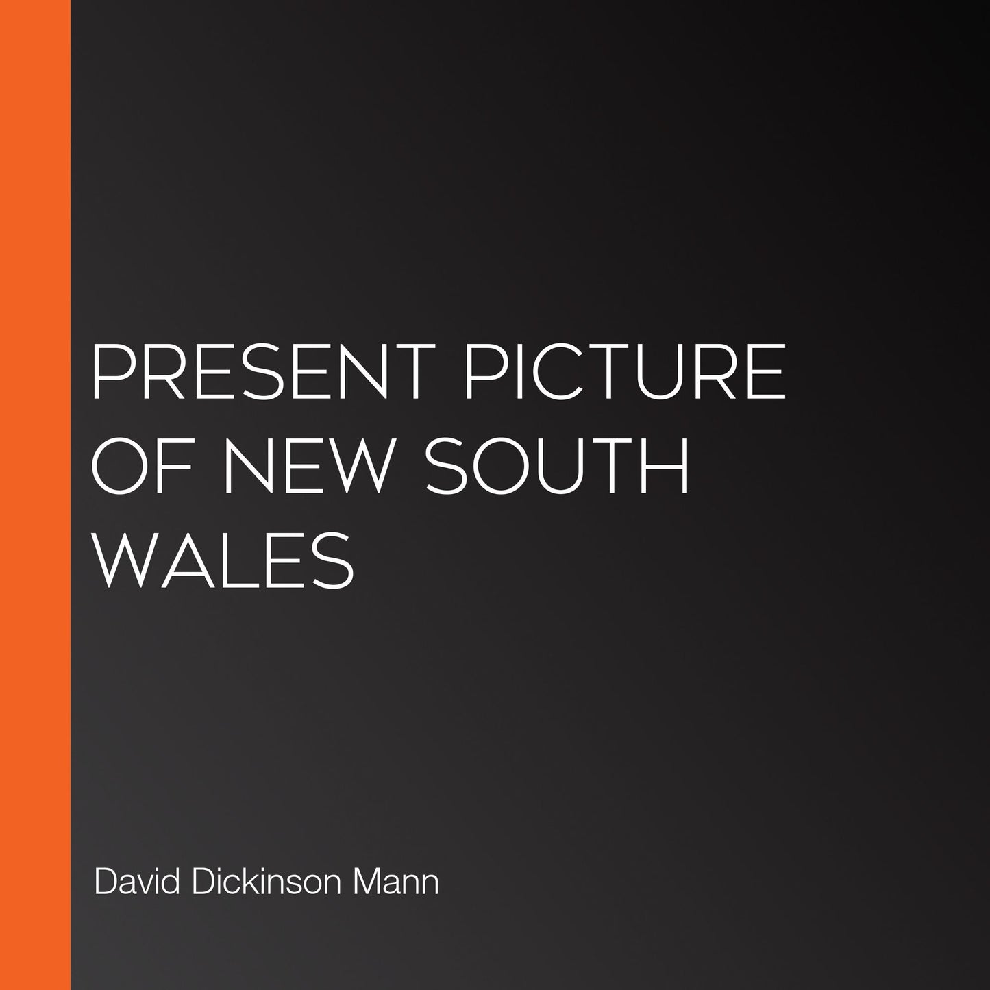 Present Picture of New South Wales