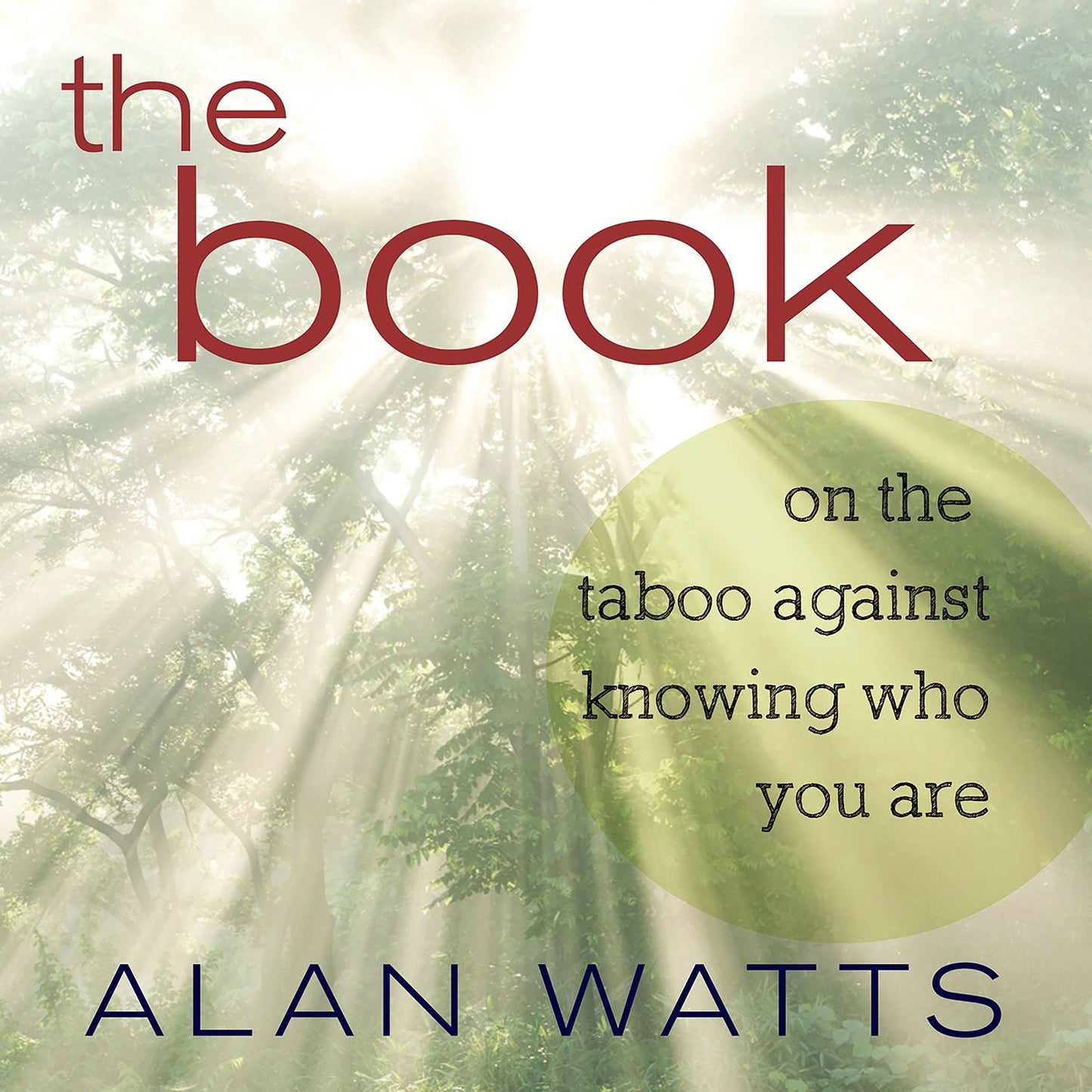 The Book : On the Taboo Against Knowing Who You Are