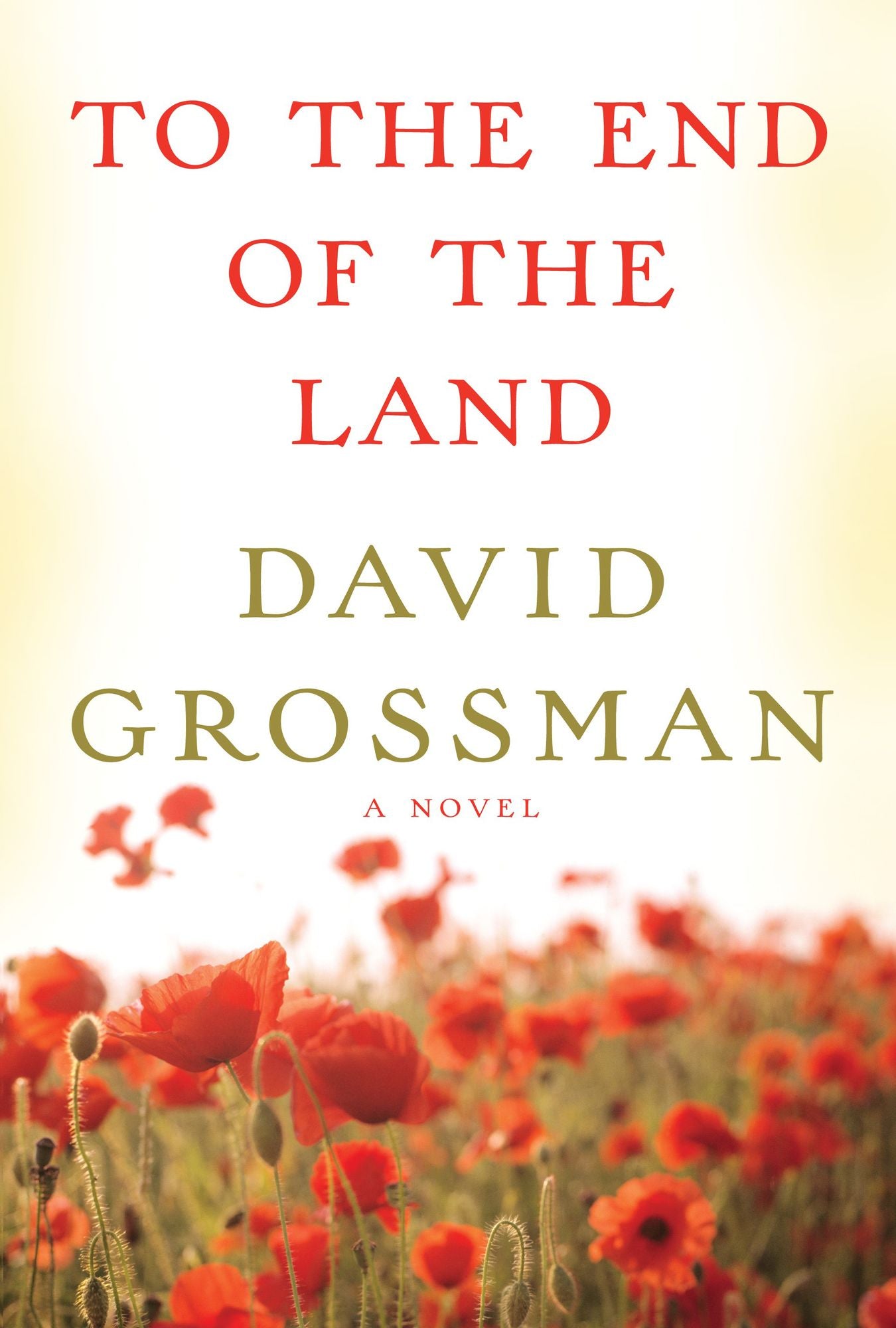 To the End of the Land: A Novel