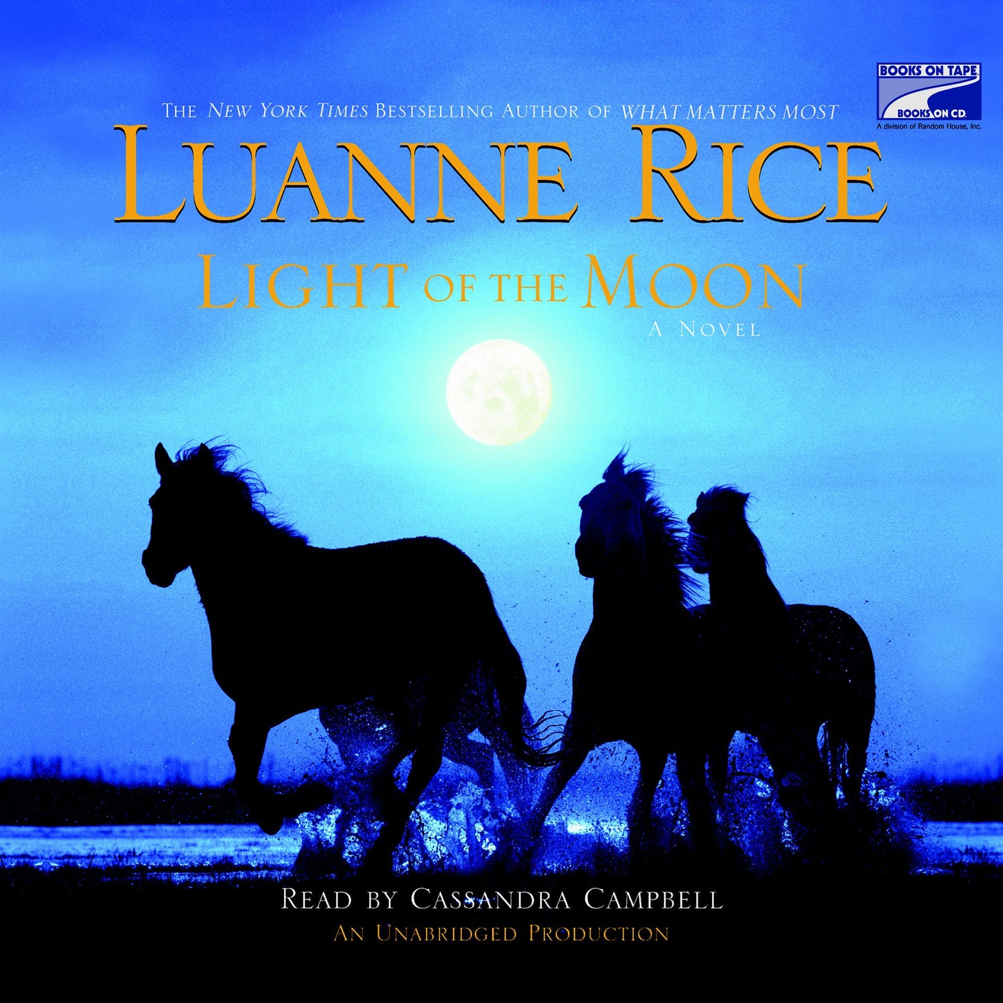 Light of the Moon: A Novel