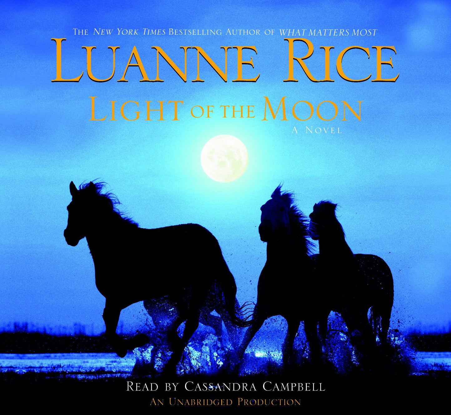 Light of the Moon: A Novel