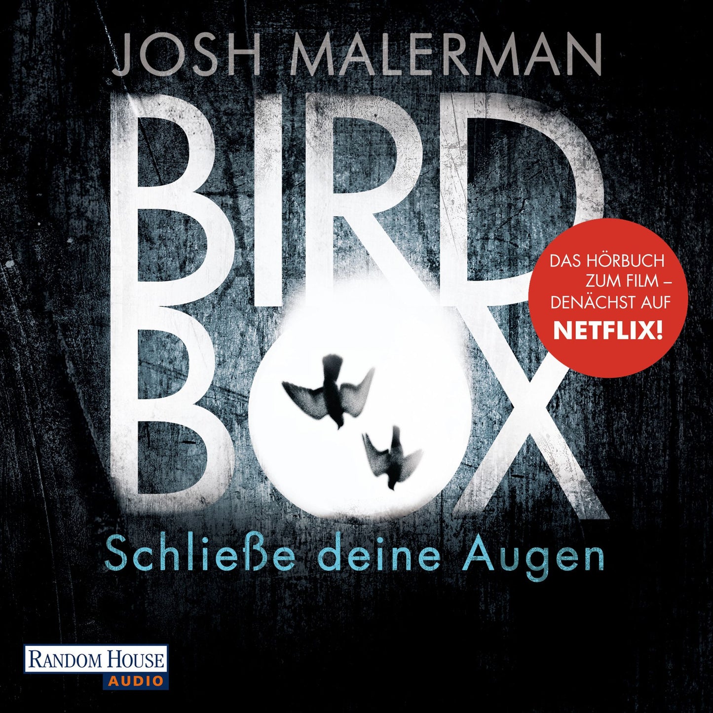 Bird Box - SchlieÃYe deine Augen