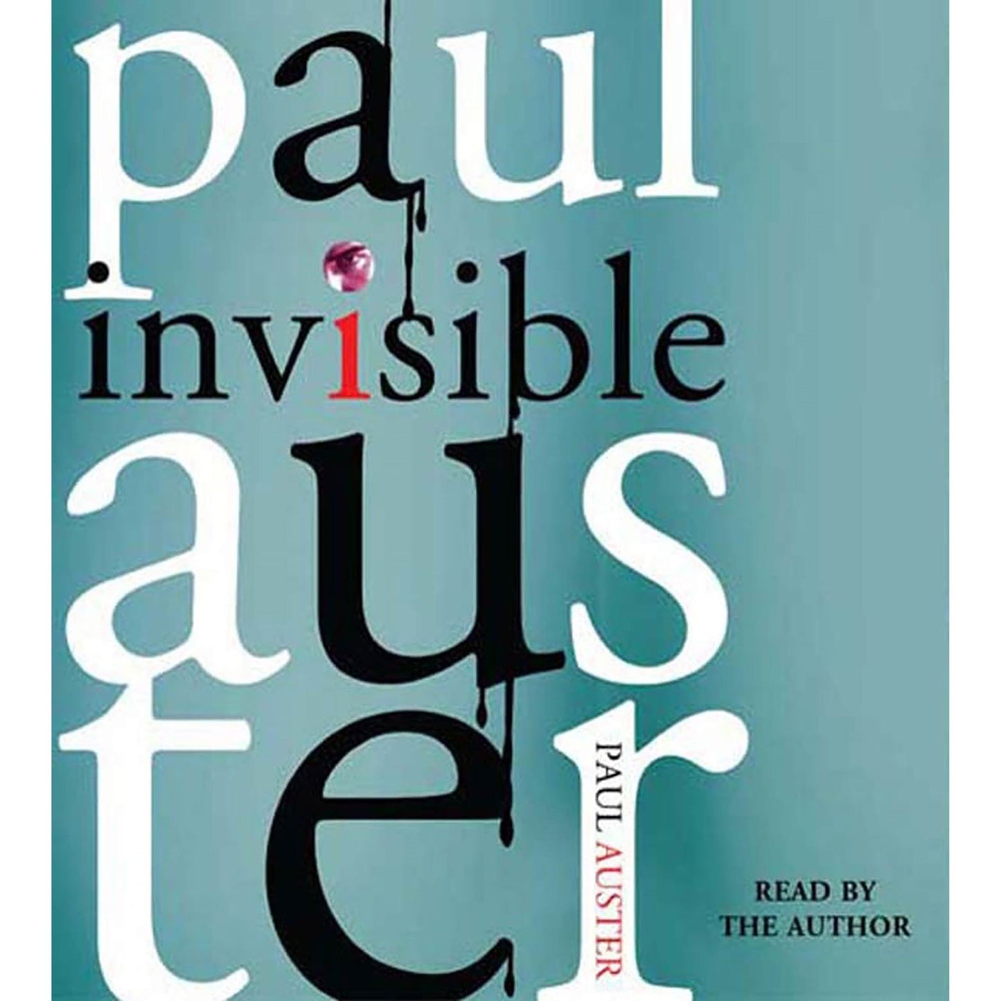 Invisible: A Novel