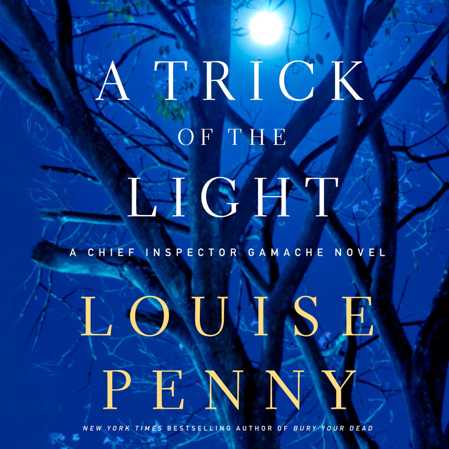 A Trick of the Light: A Chief Inspector Gamache Novel