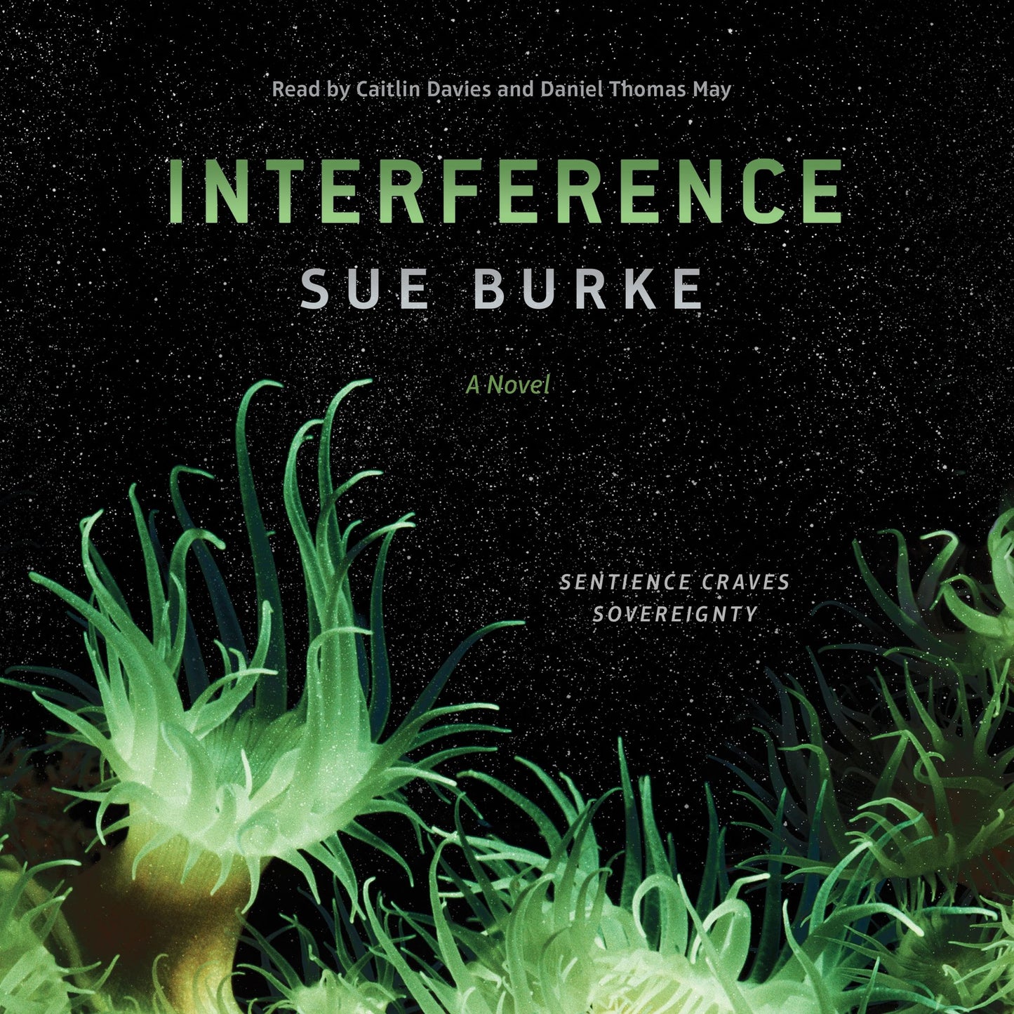 Interference: A Novel
