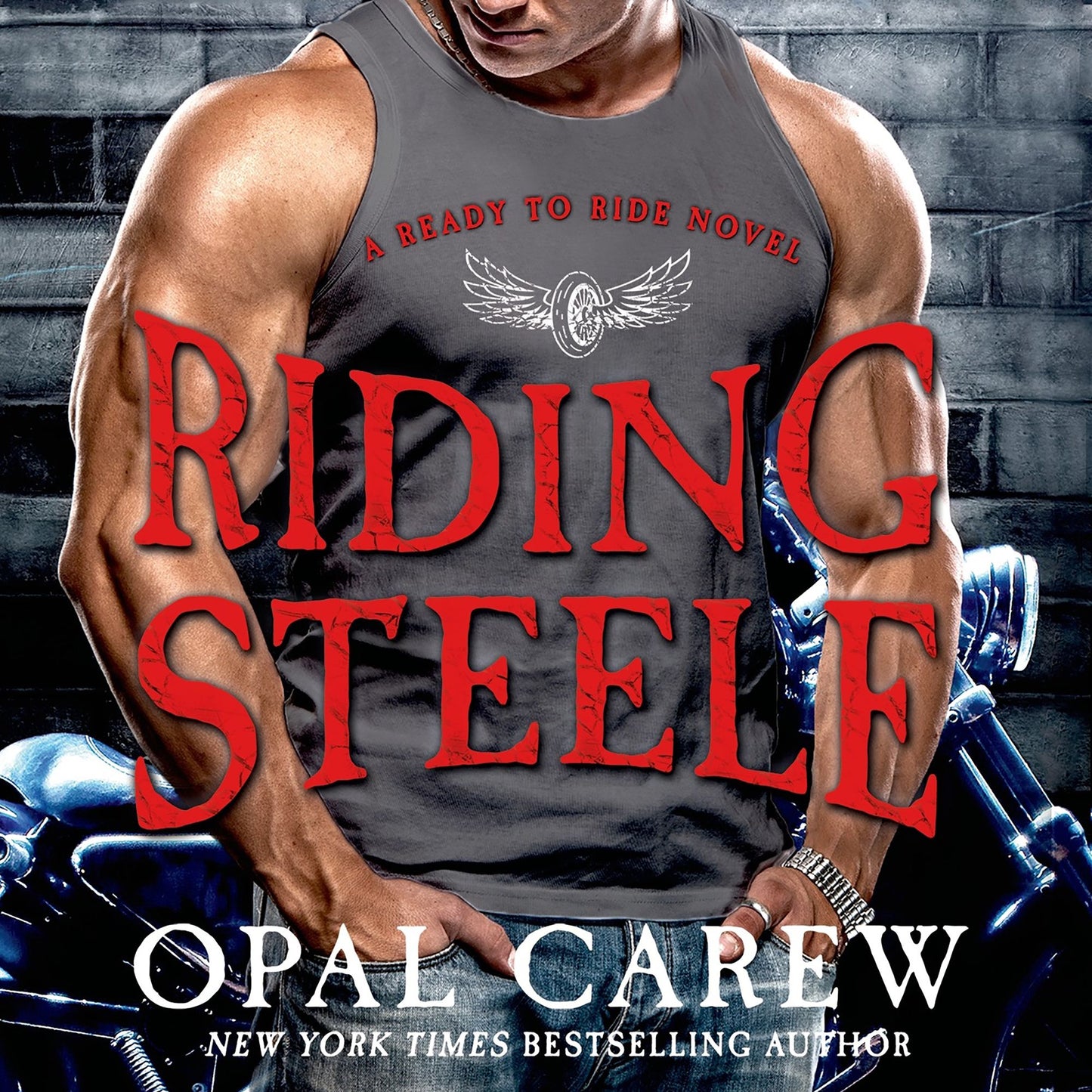 Riding Steele: A Ready to Ride Novel