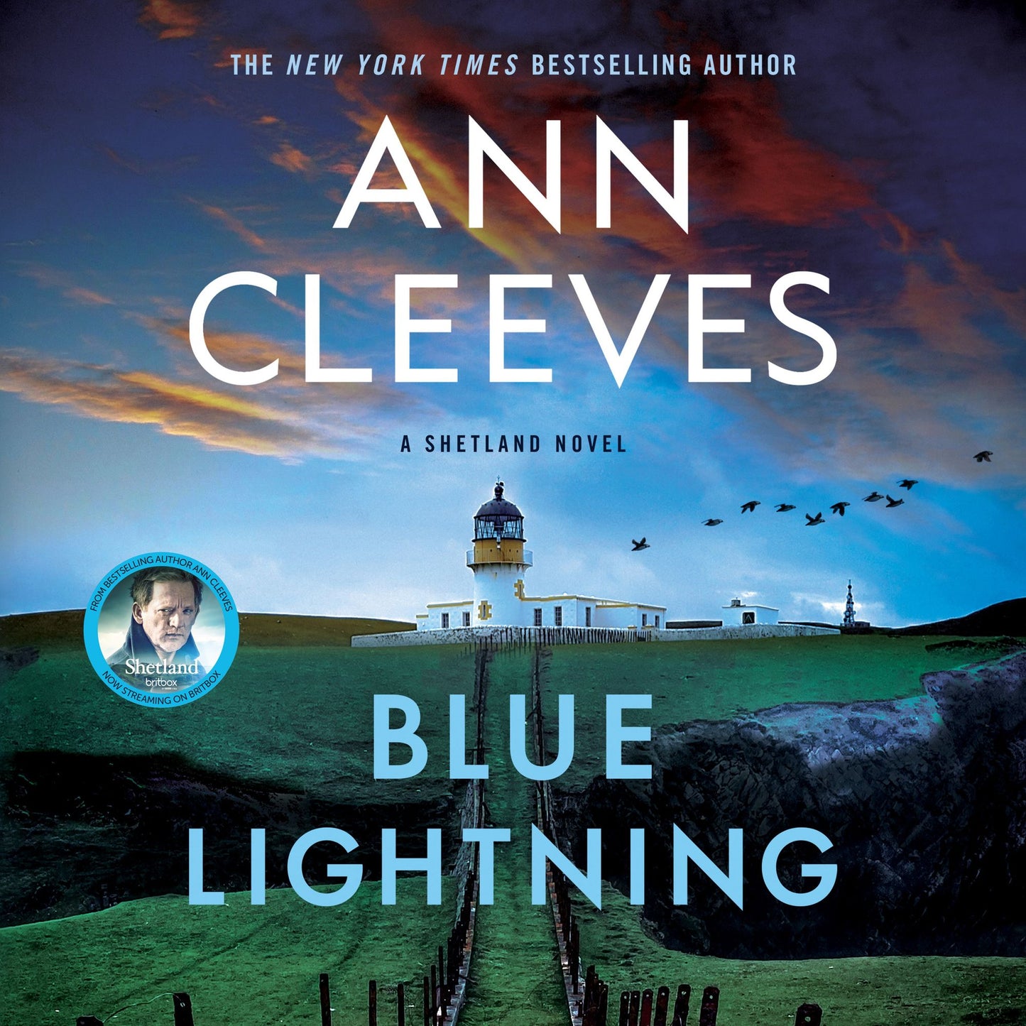 Blue Lightning: A Thriller