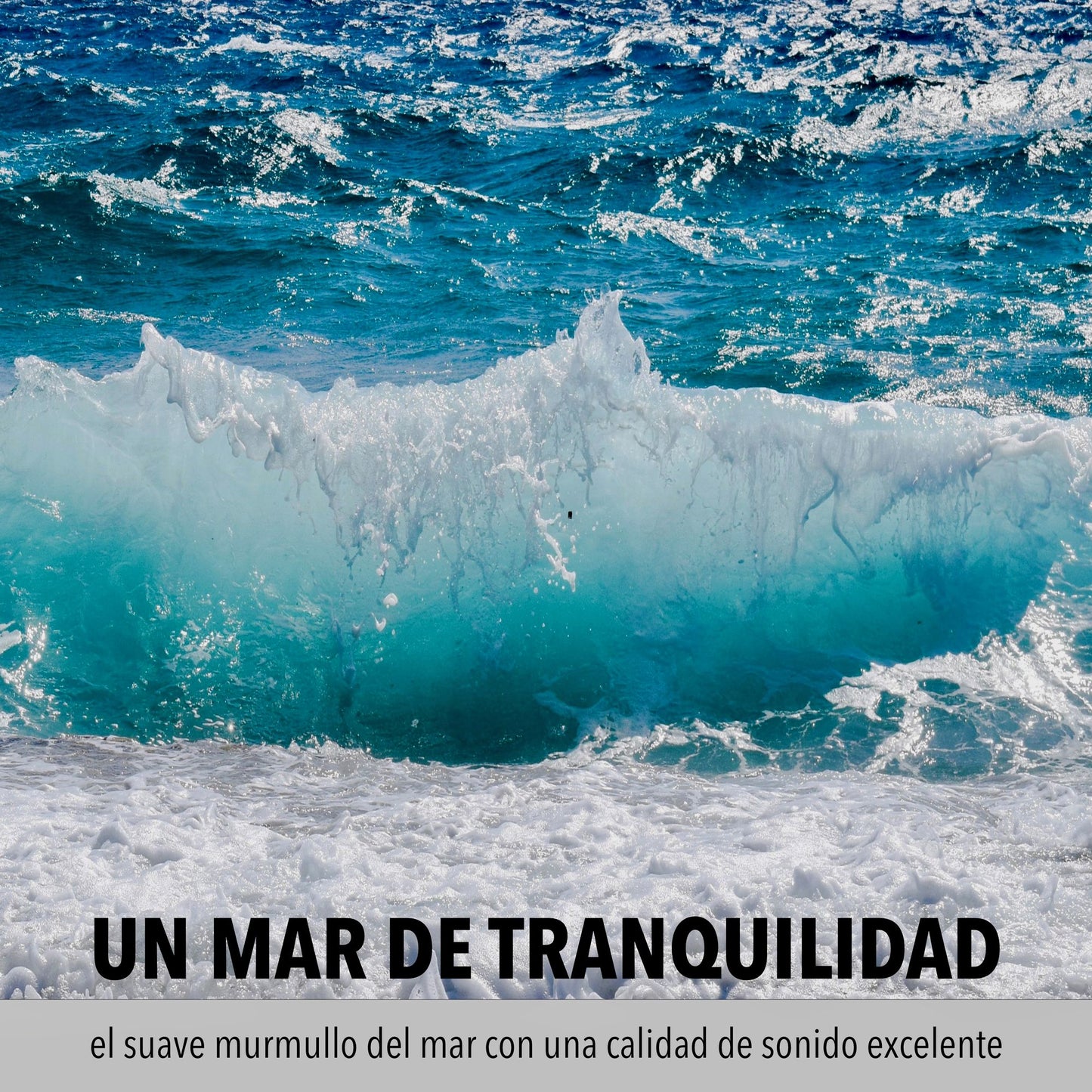 Un mar de tranquilidad: el suave murmullo del mar con una calidad de sonido excelente: Sonidos del mar sin musica