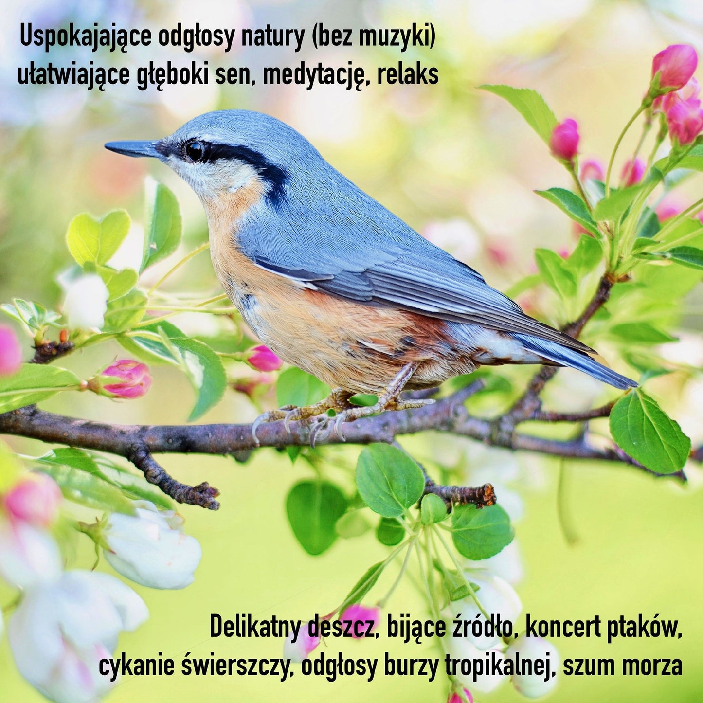 Uspokajajace odglosy natury (bez muzyki) ulatwiajace gleboki sen, medytacje, relaks: Delikatny deszcz, bijace zródlo, koncert ptaków, cykanie swierszczy, odglosy burzy tropikalnej, szum morza