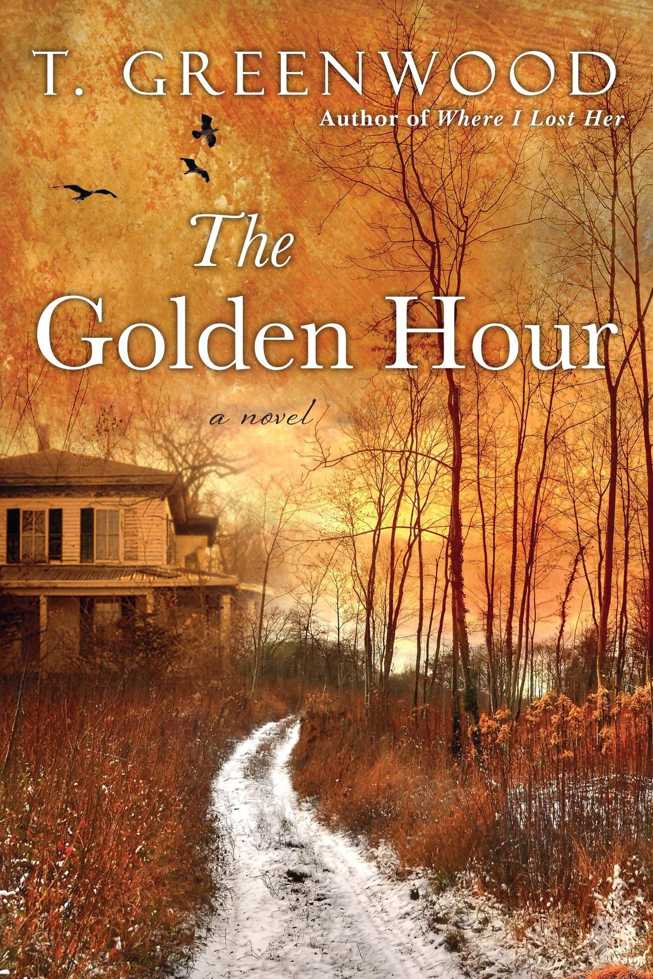 The Golden Hour: A Novel