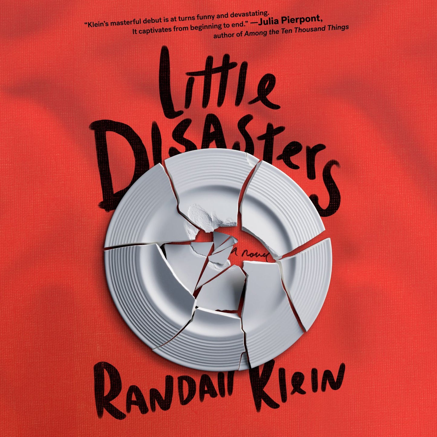 Little Disasters: A Novel