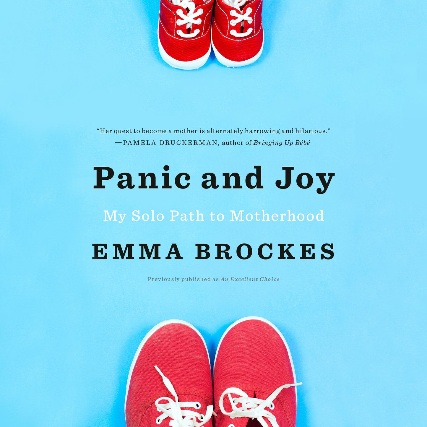 Panic and Joy: My Solo Path to Motherhood