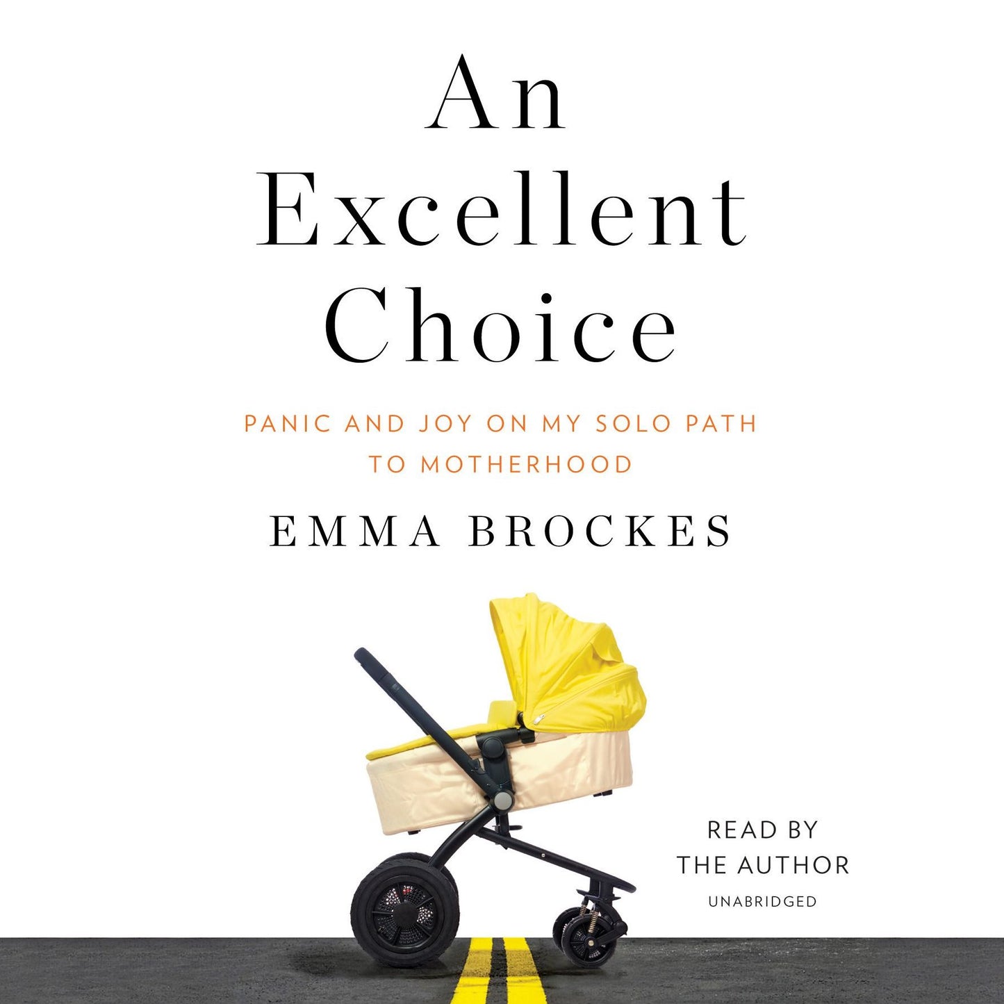 Panic and Joy: My Solo Path to Motherhood