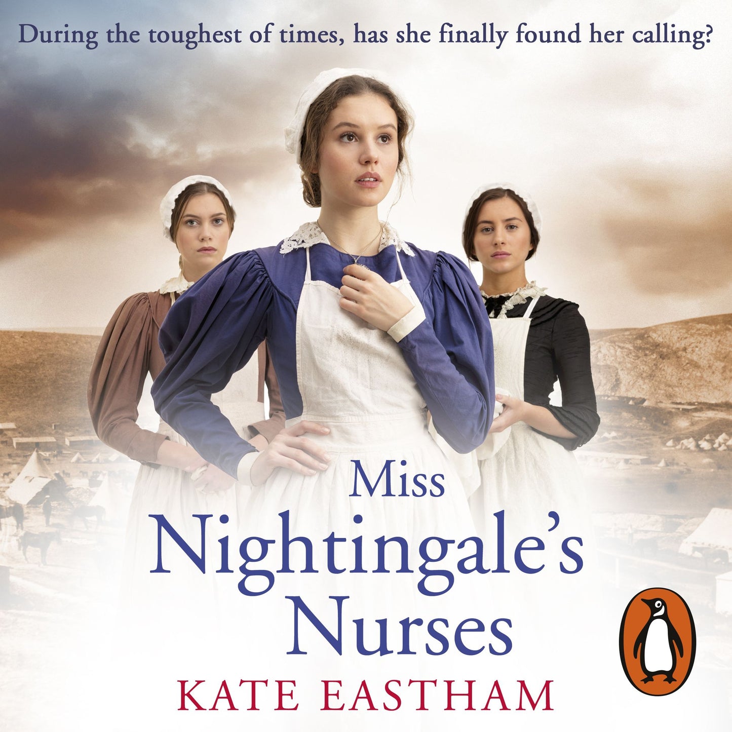 Miss Nightingale's Nurses: Nursing, Book 1