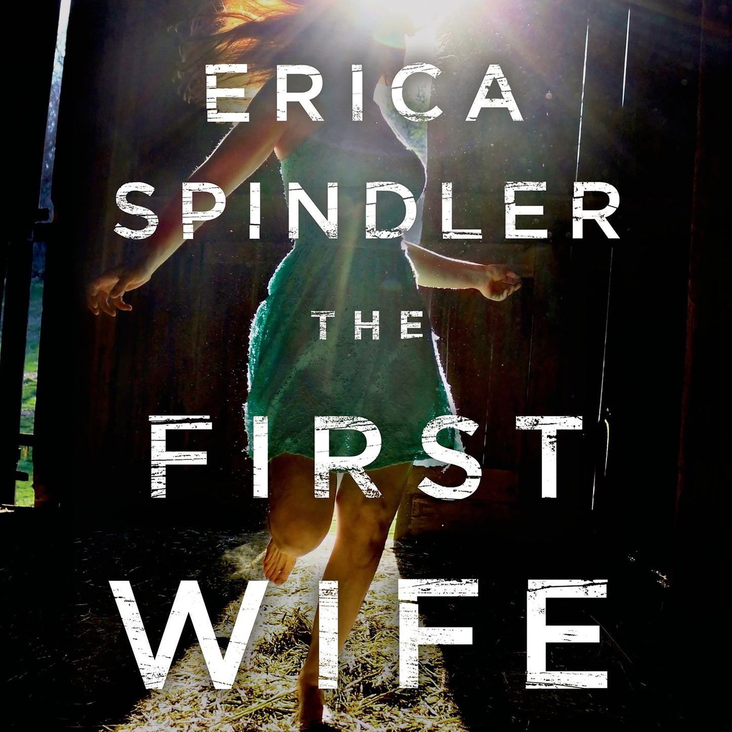 The First Wife: A Novel