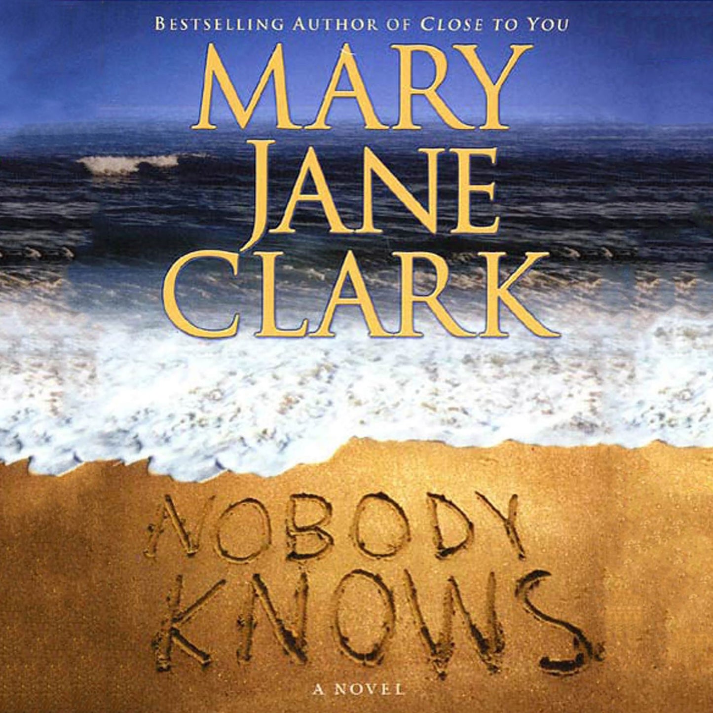 Nobody Knows: A Novel