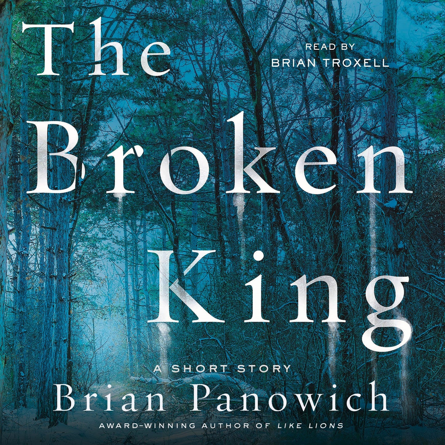 The Broken King: A McFalls County Short Story
