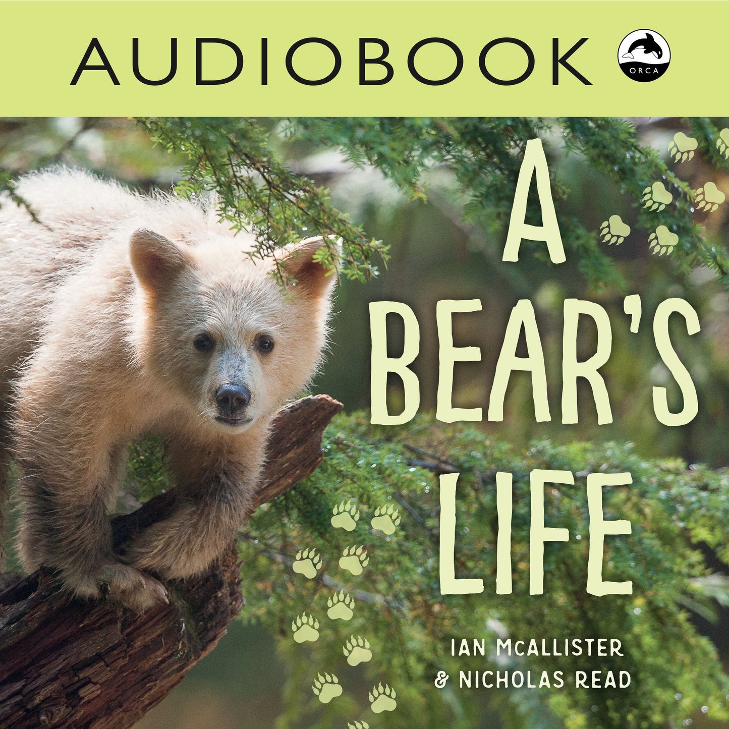 A Bear's Life