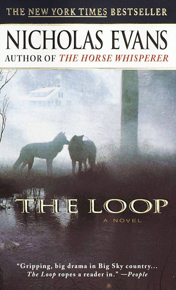 The Loop (Abridged)