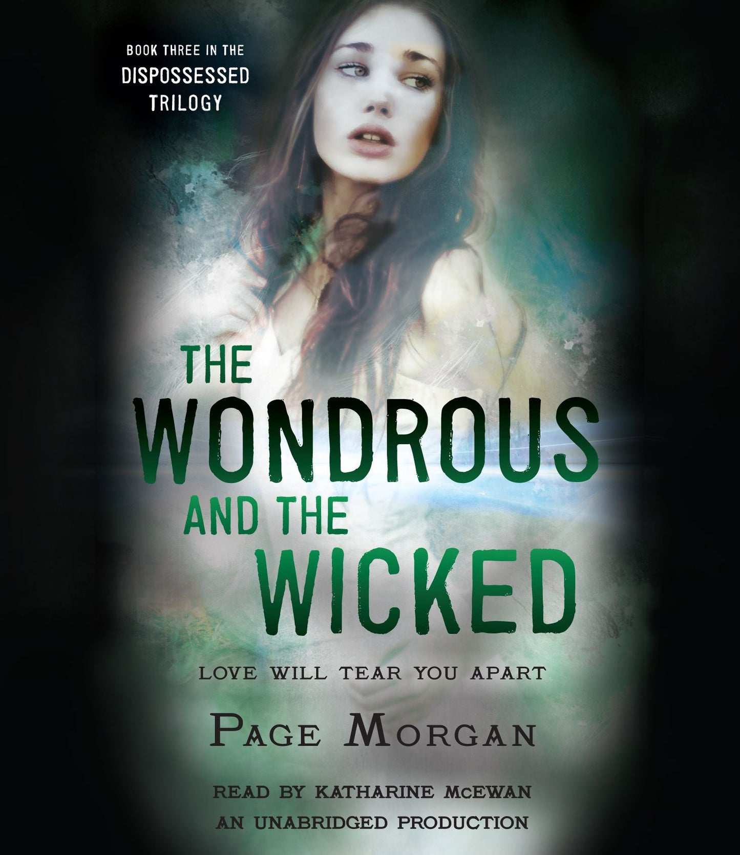 The Wondrous and the Wicked: Book Three in the Dispossessed Trilogy