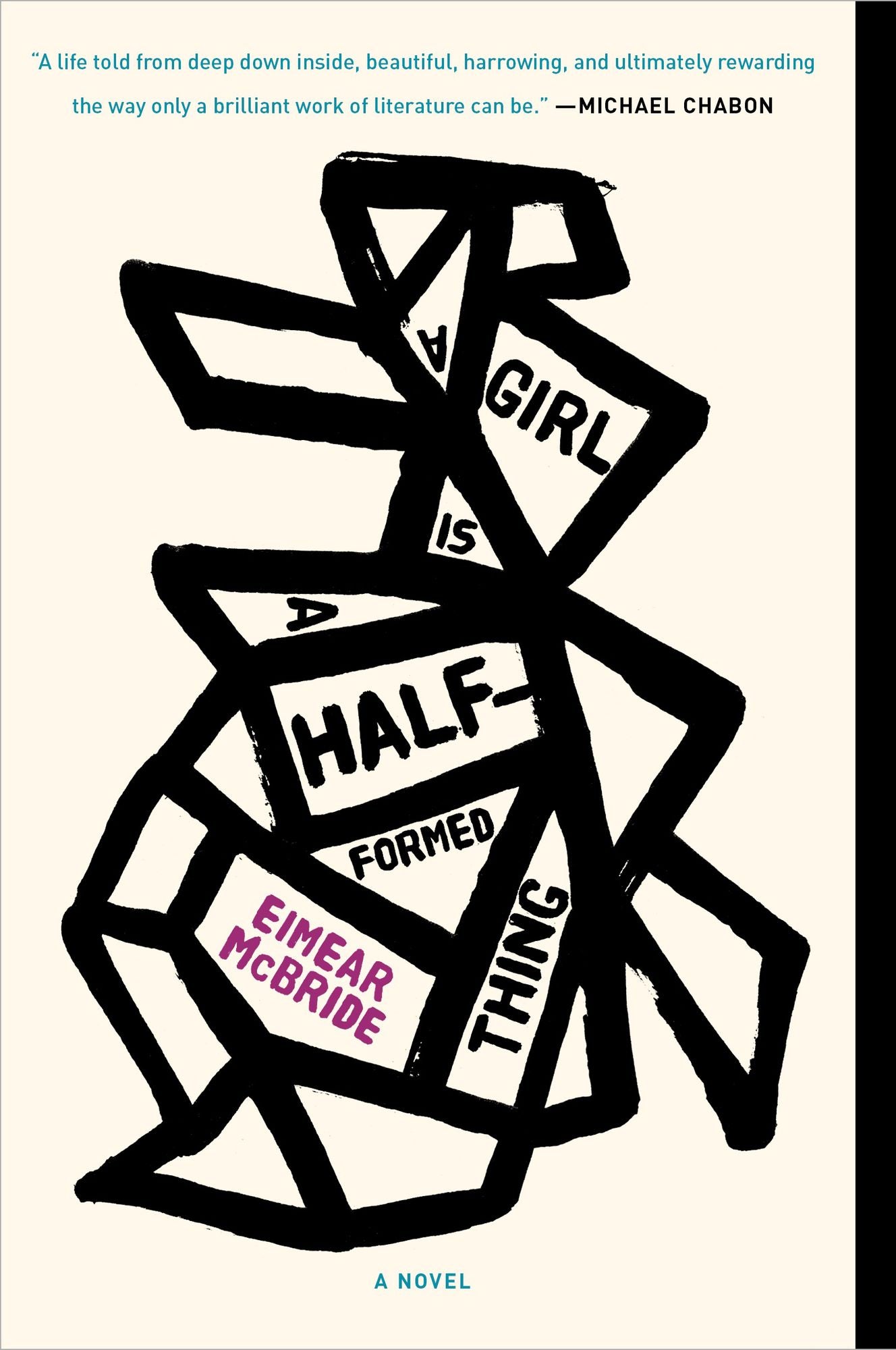 A Girl Is a Half-formed Thing: A Novel