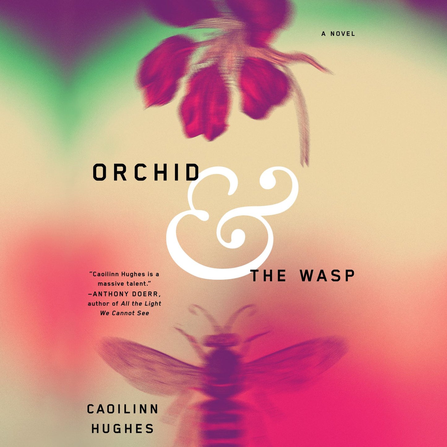 Orchid & the Wasp: A Novel