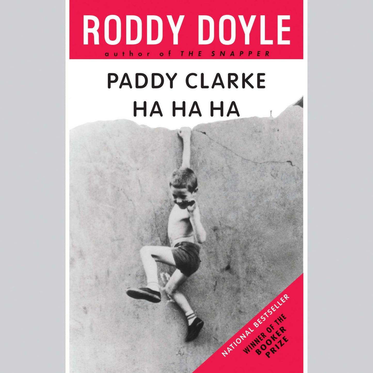 Paddy Clarke Ha Ha Ha (Abridged)