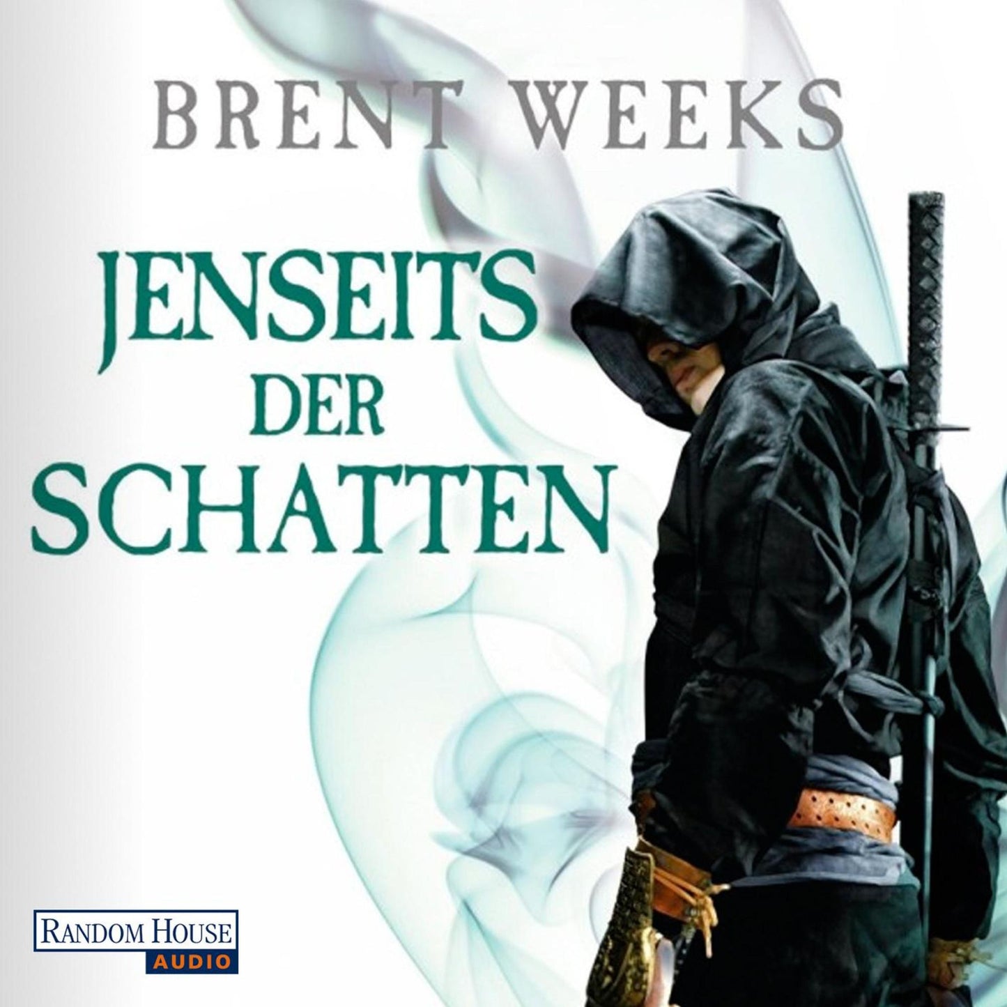 Jenseits der Schatten: Roman