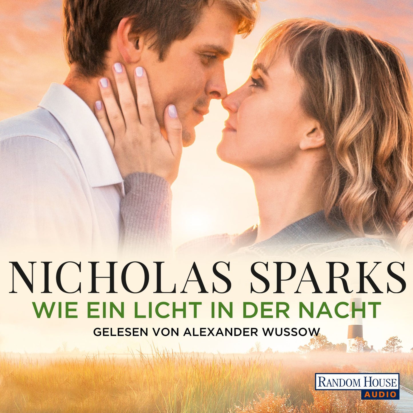 Safe Haven - Wie ein Licht in der Nacht (Abridged)