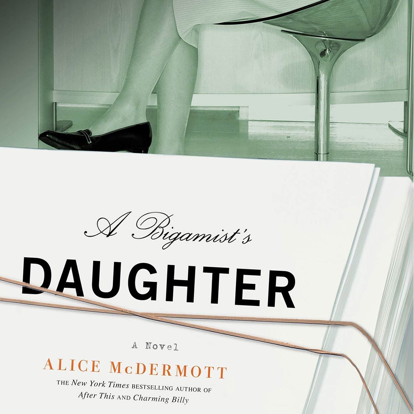 A Bigamist's Daughter: A Novel