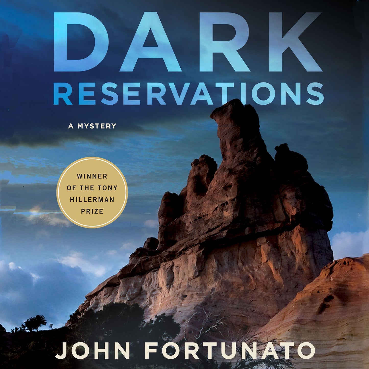 Dark Reservations: A Mystery