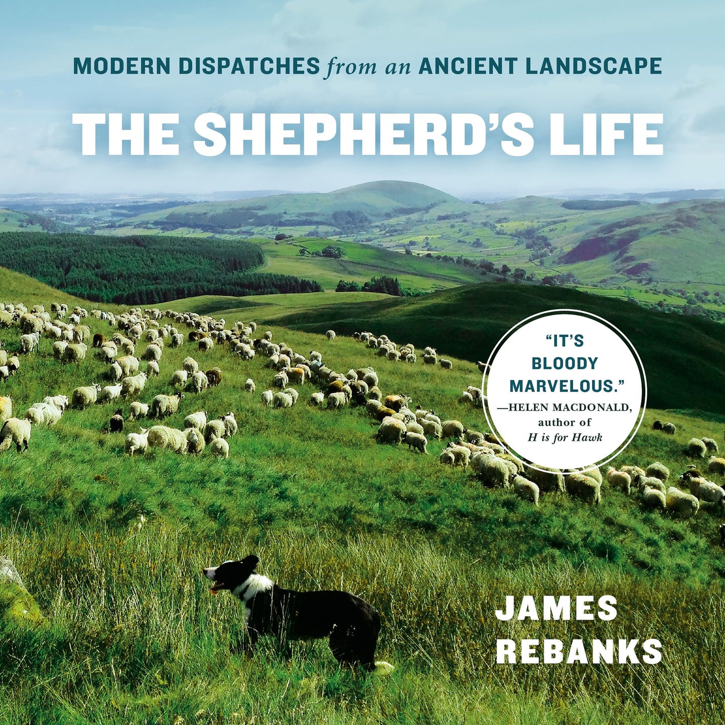 The Shepherd's Life : Modern Dispatches from an Ancient Landscape