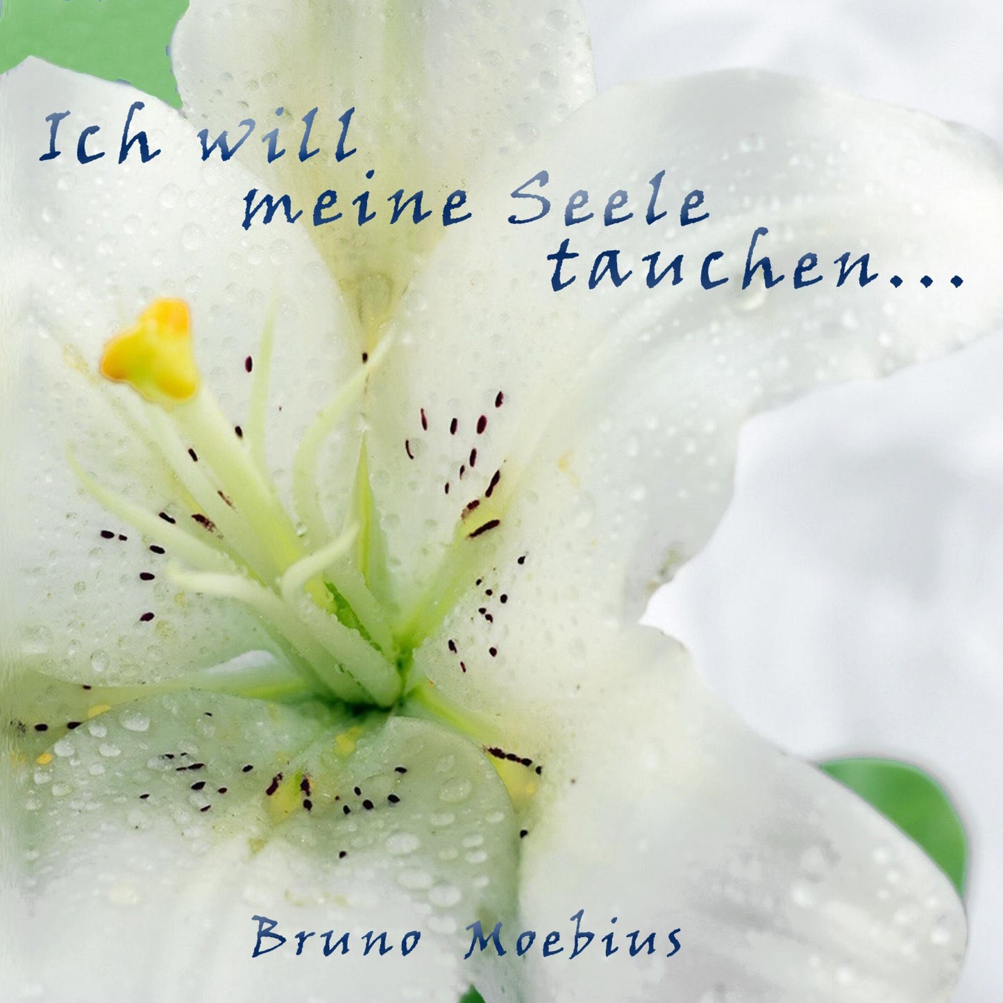 Ich will meine Seele tauchen ...: Moebius Lyrik Projekt 1