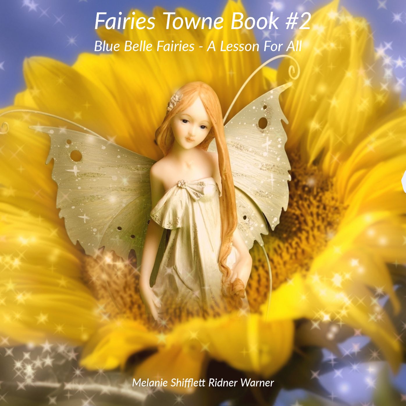 BlueBell Fairies : A Lesson For All