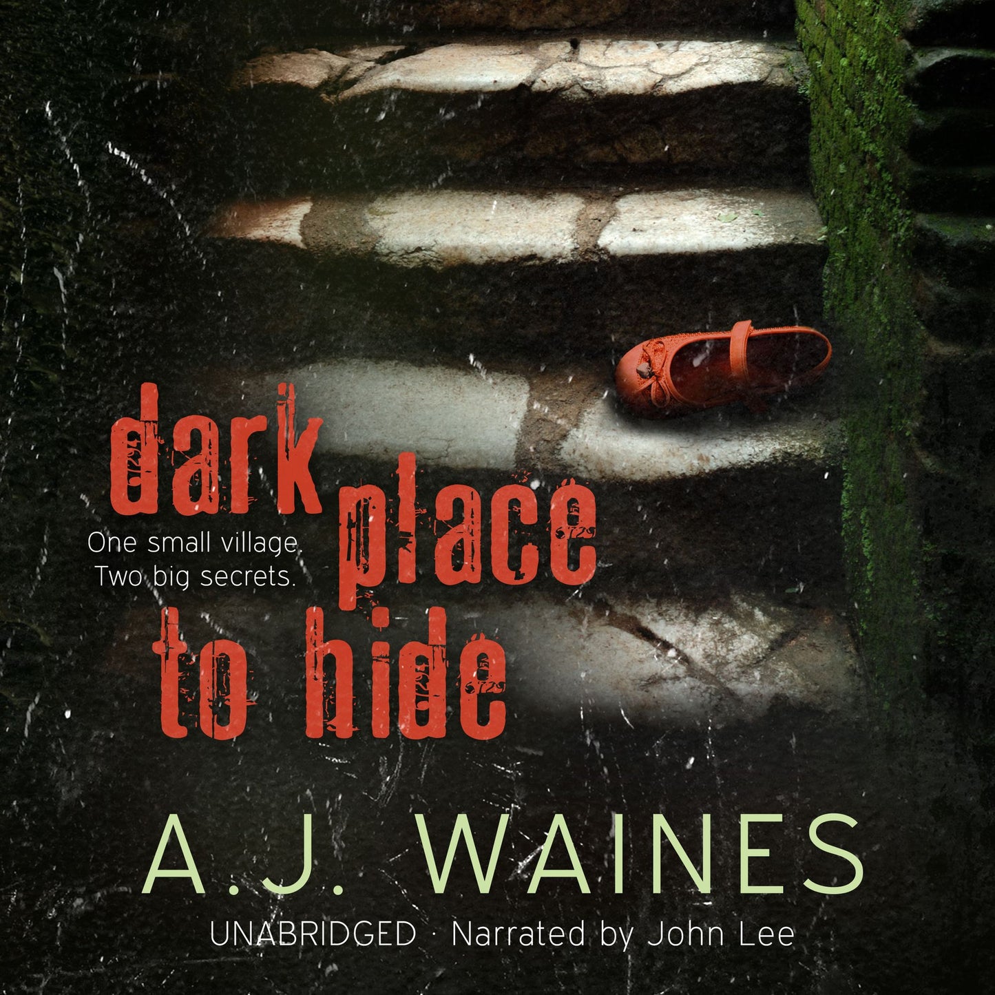 Dark Place to Hide: One Small Village, Two Big Secrets