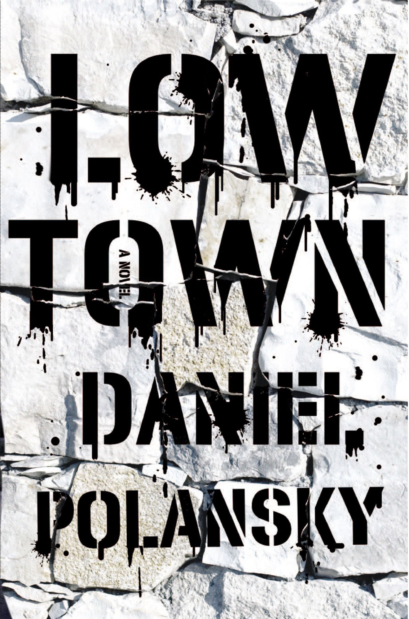 Low Town: A Novel