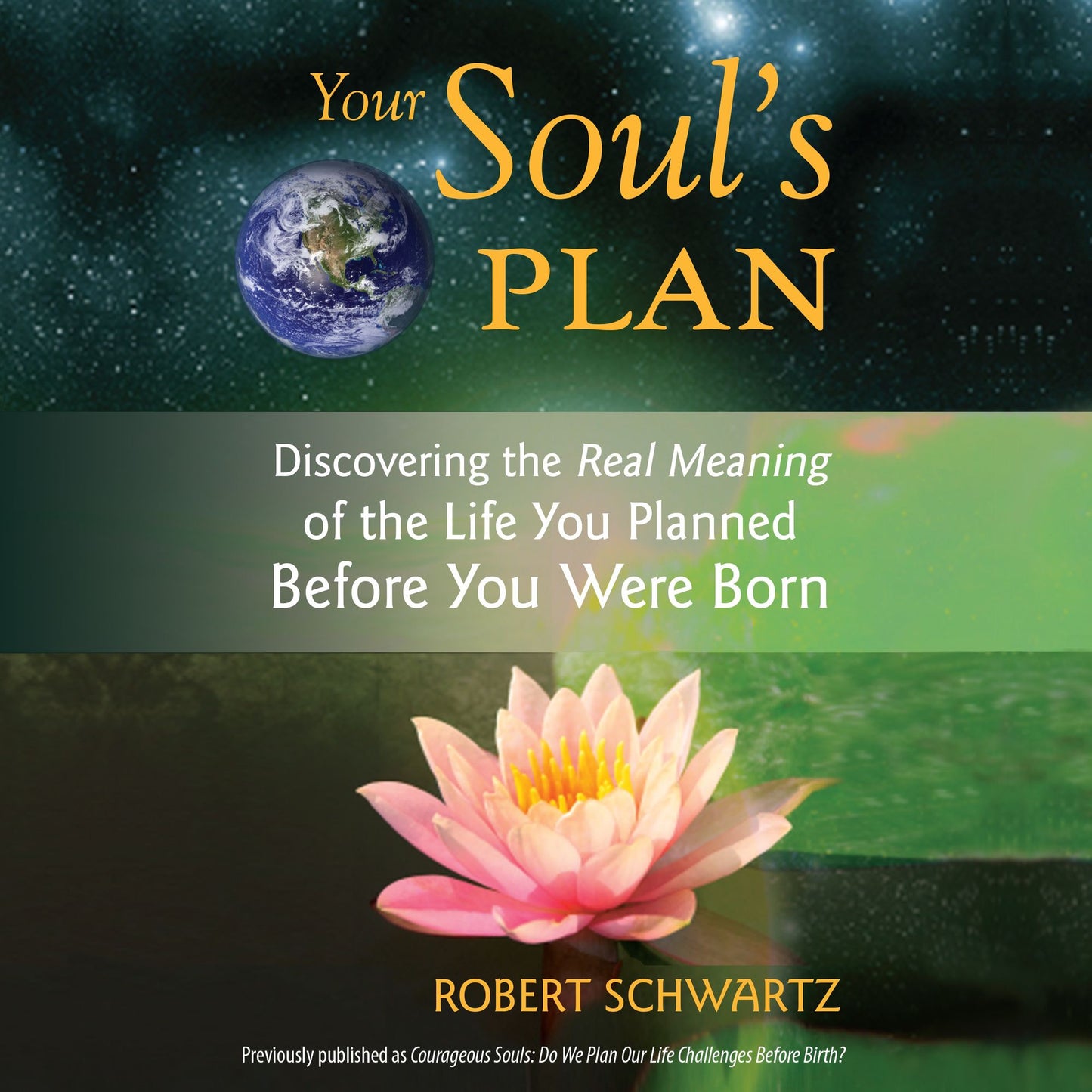 Your Soul's Plan: Discovering the Real Meaning of the Life You Planned Before You Were Born