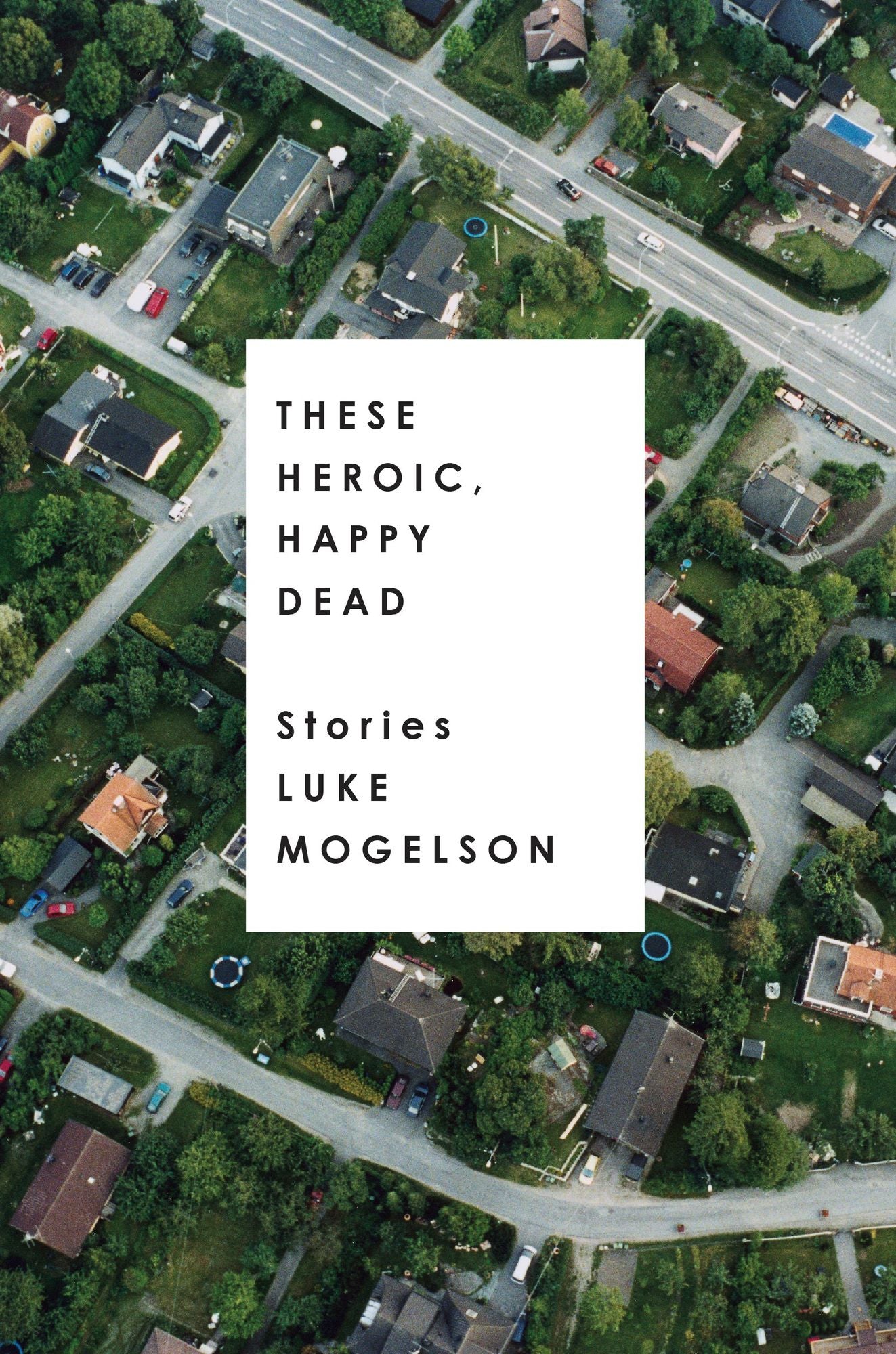 These Heroic, Happy Dead: Stories