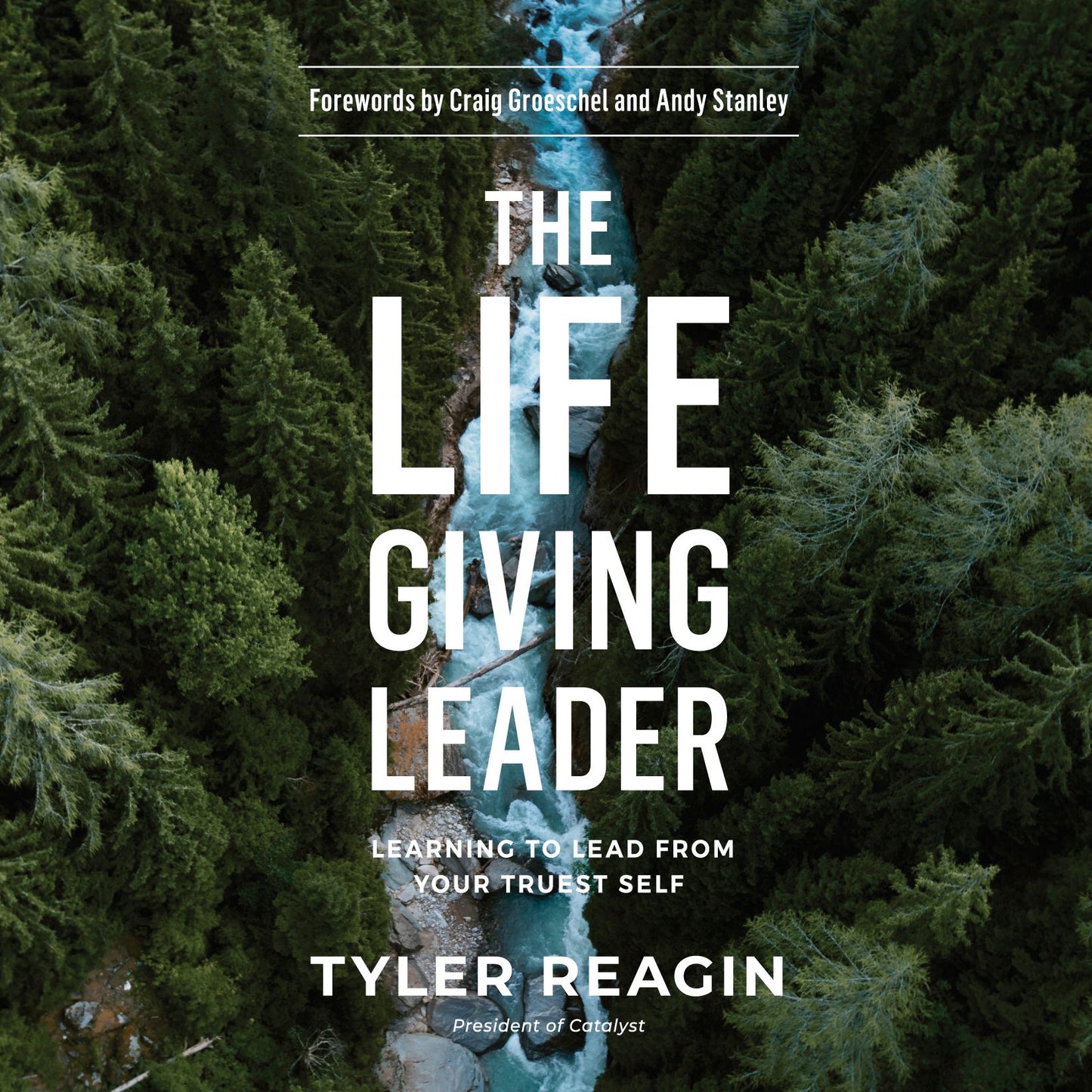 The Life-Giving Leader: Learning to Lead from Your Truest Self