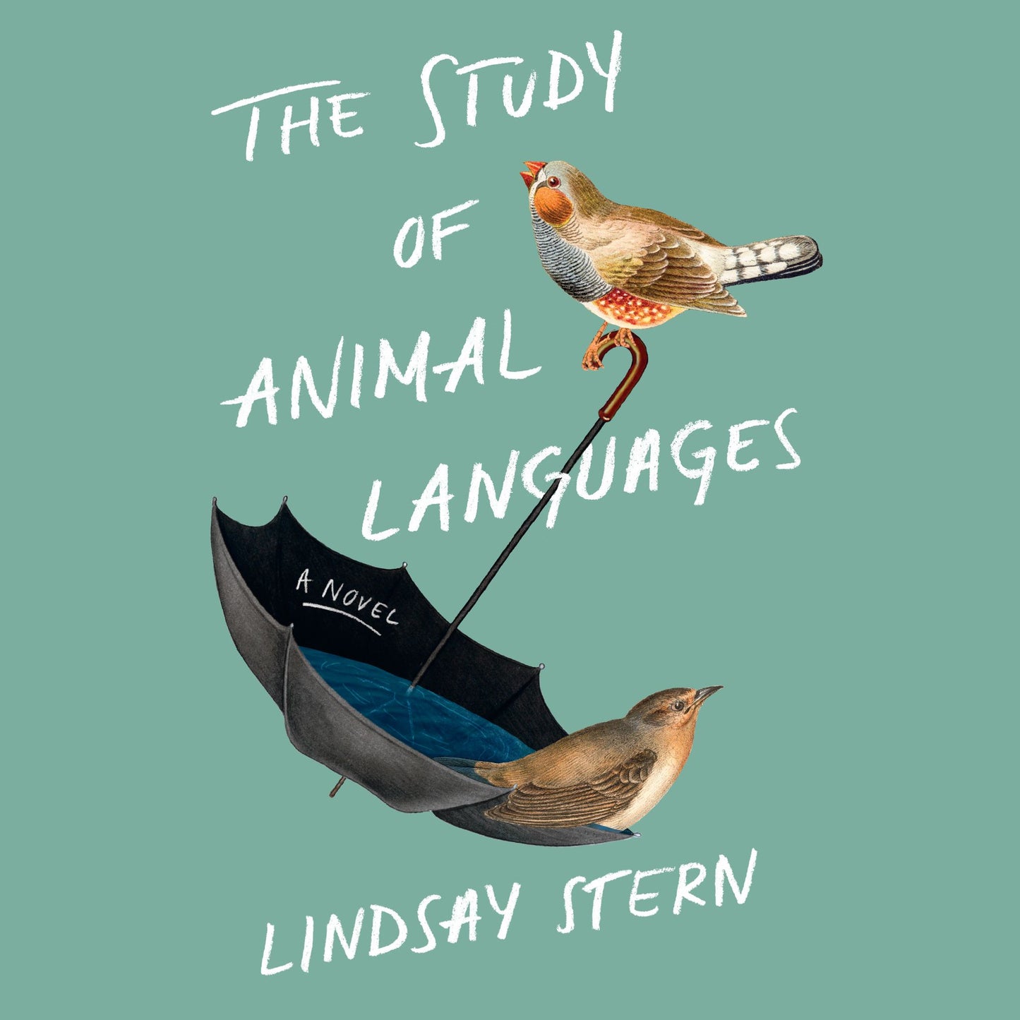 The Study of Animal Languages: A Novel