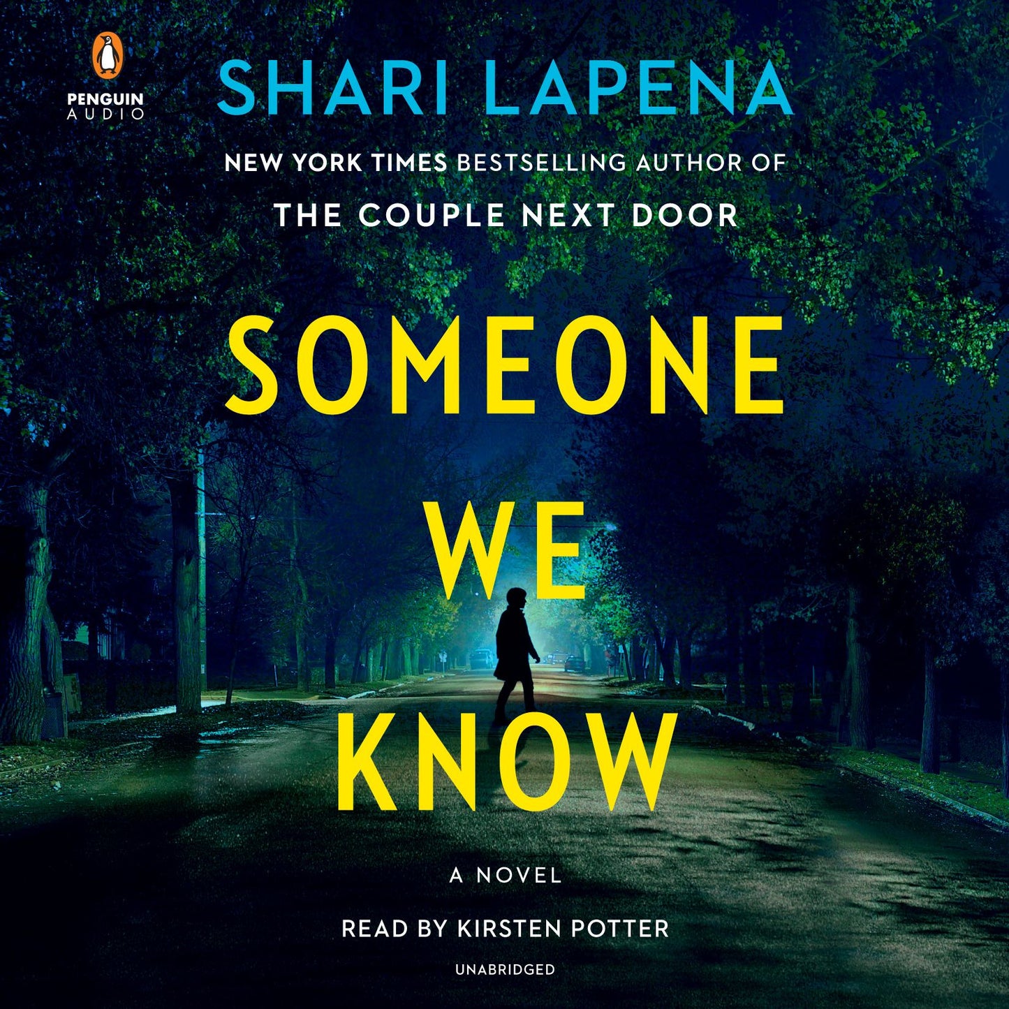 Someone We Know: A Novel