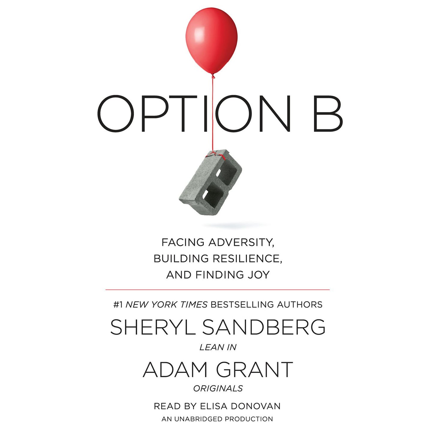 Option B: Facing Adversity, Building Resilience, and Finding Joy