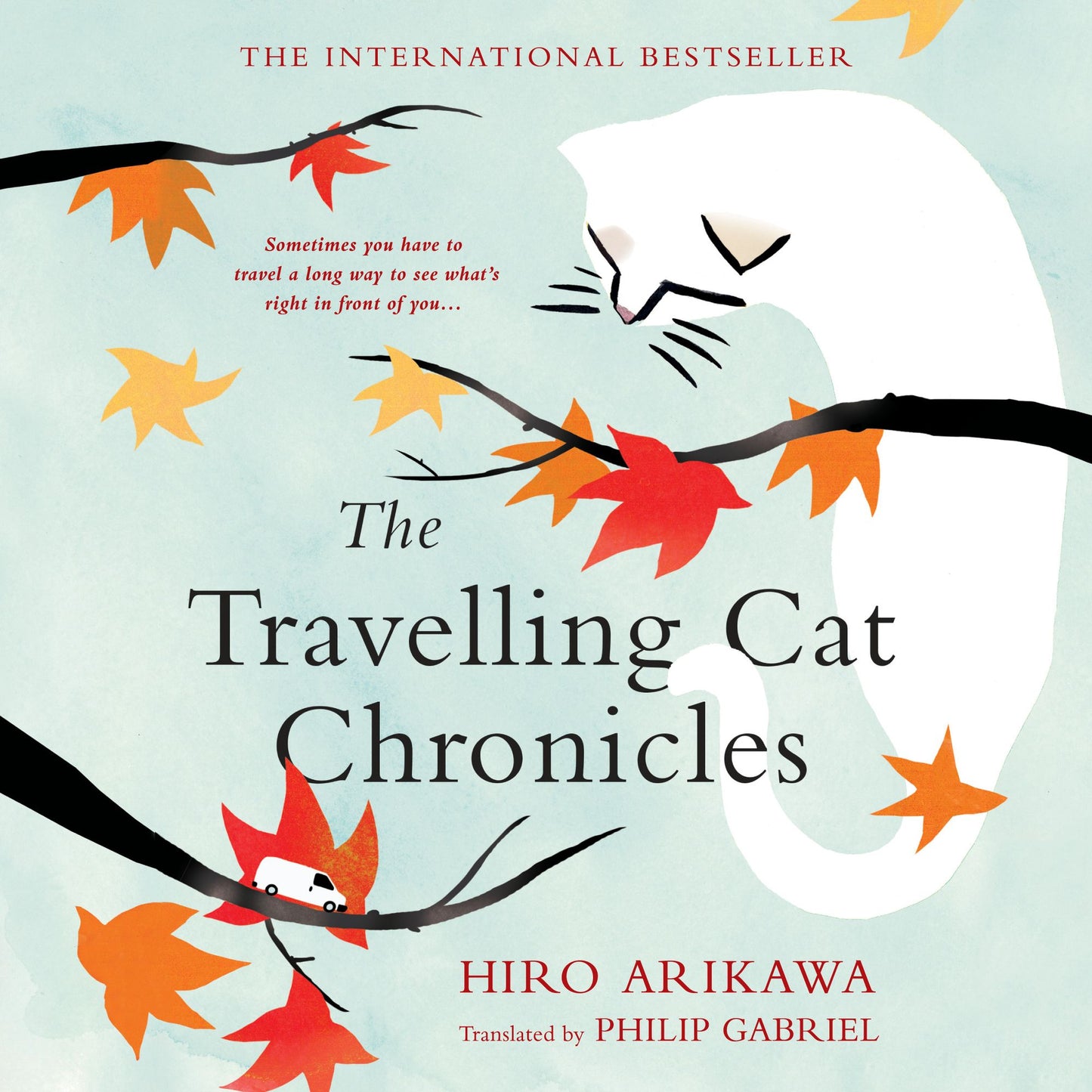 The Travelling Cat Chronicles