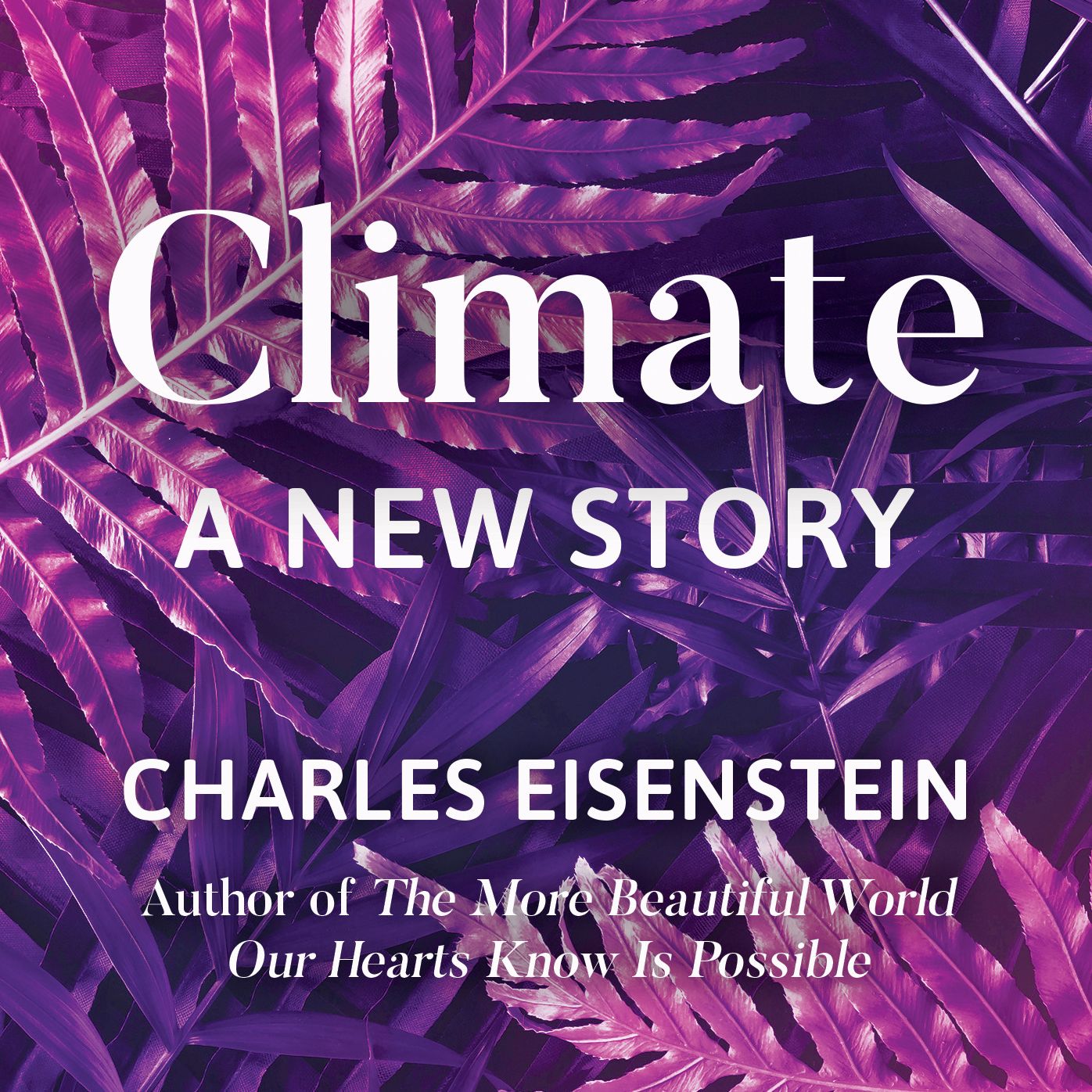 Climate: A New Story