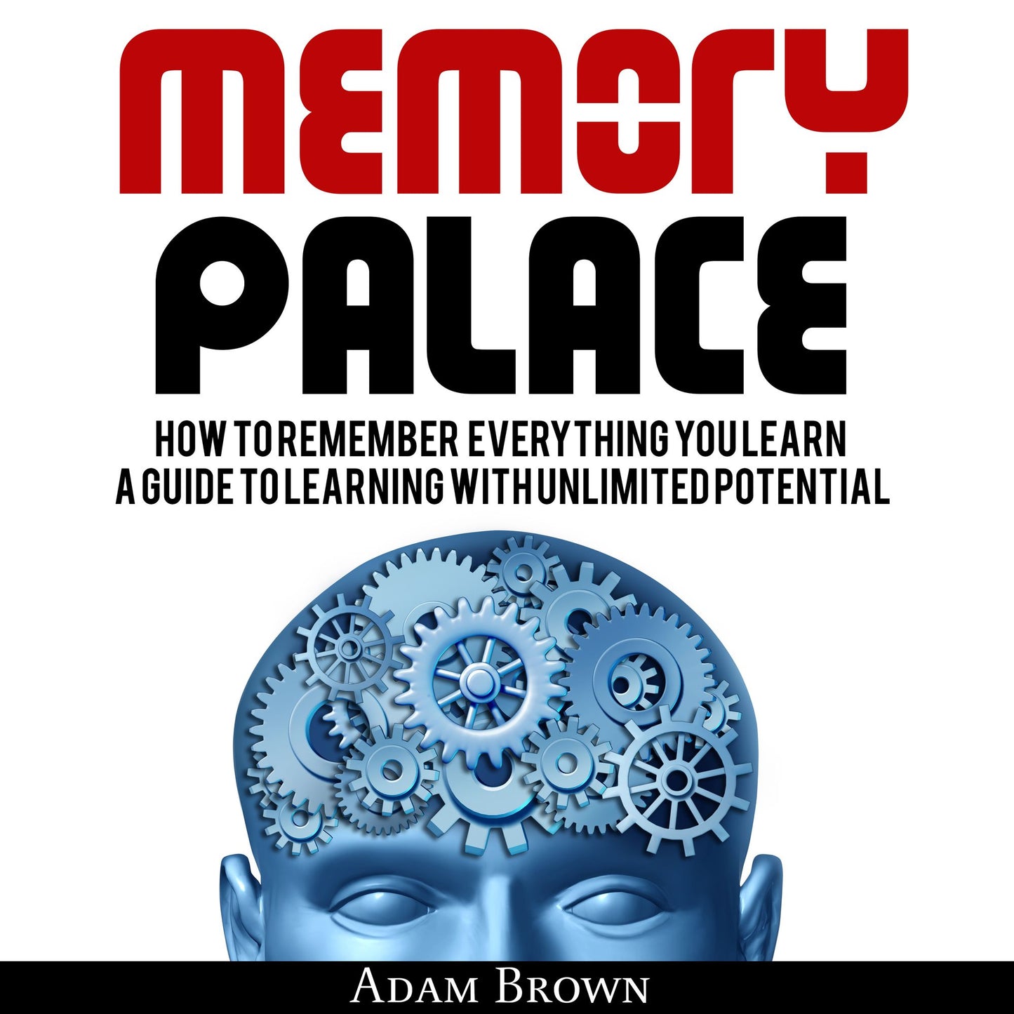 Memory Palace: How To Remember Everything You Learn; A Guide To Learning With Unlimited Potential