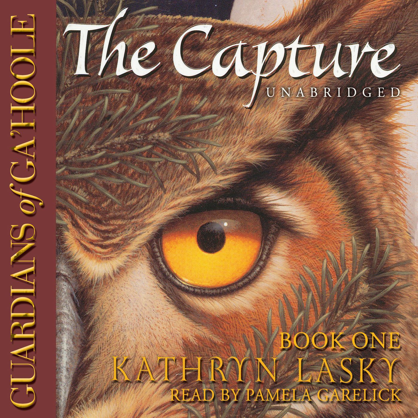 The Capture: Guardians of Ga'Hoole, Book One