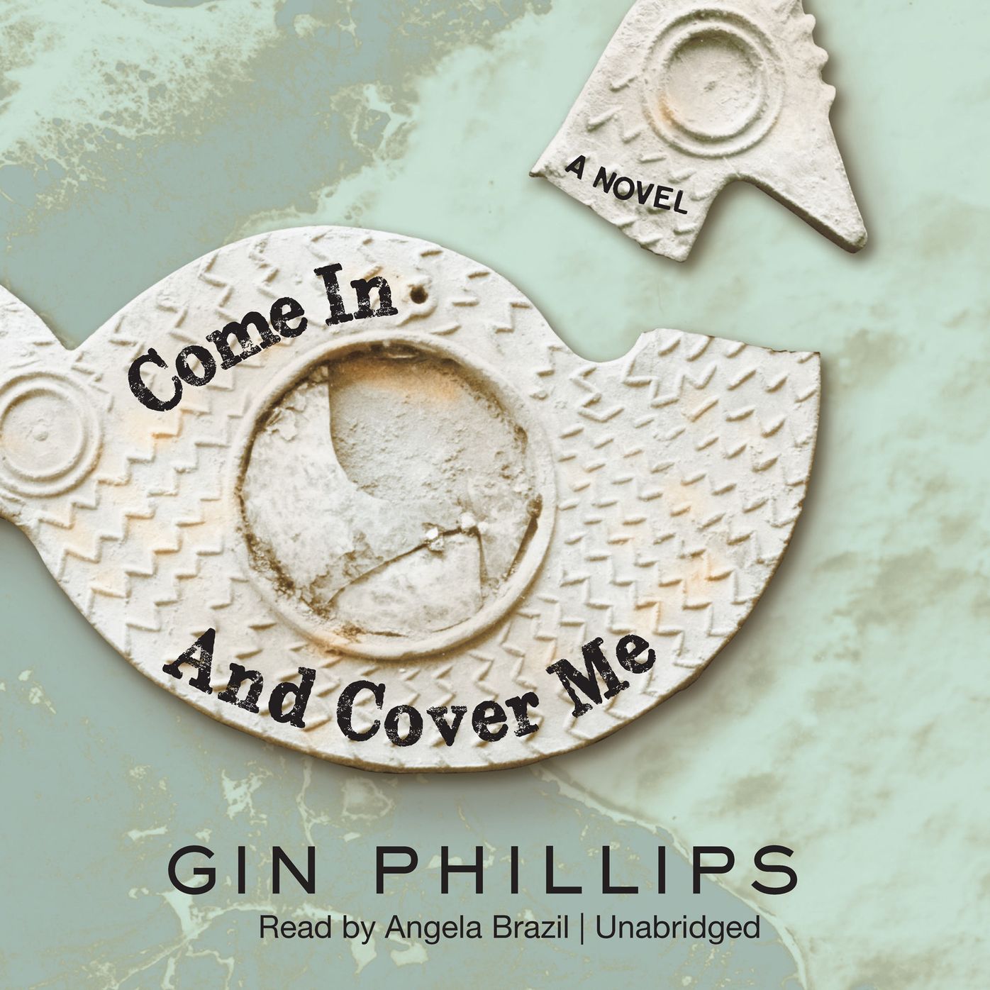 Come In and Cover Me: A Novel