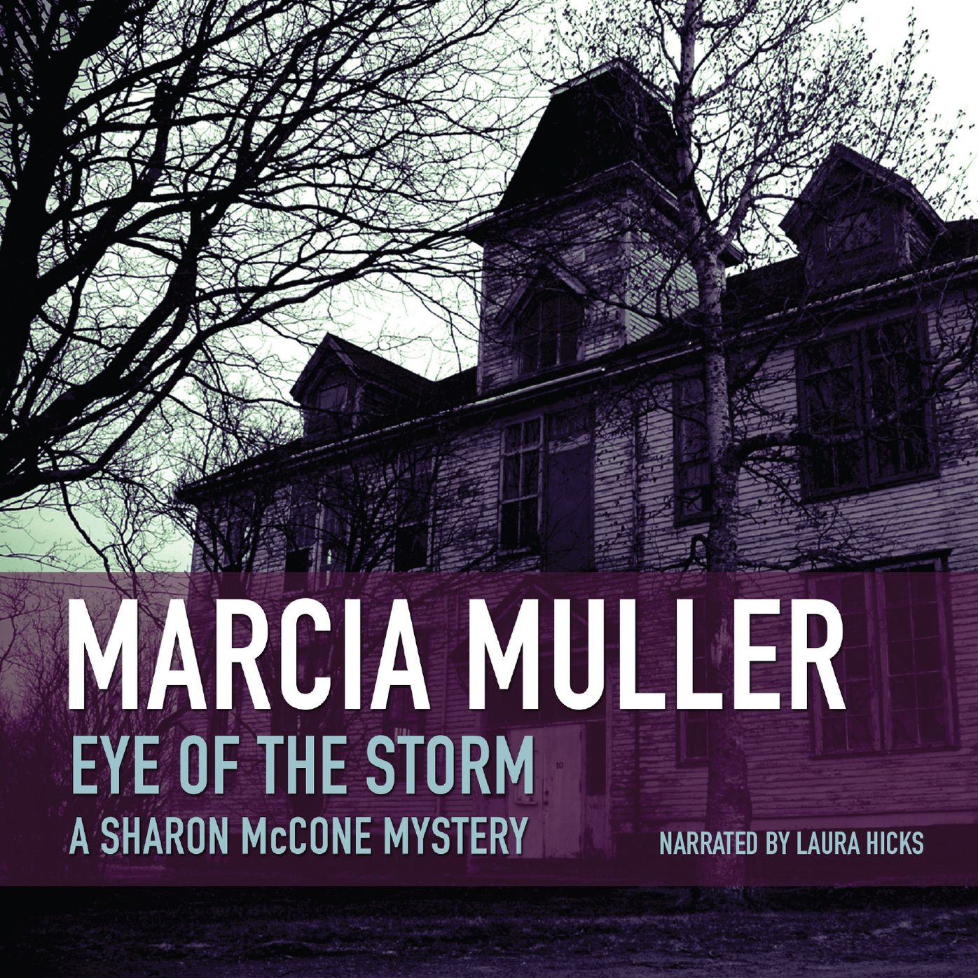 Eye of the Storm: A Sharon McCrone Mystery