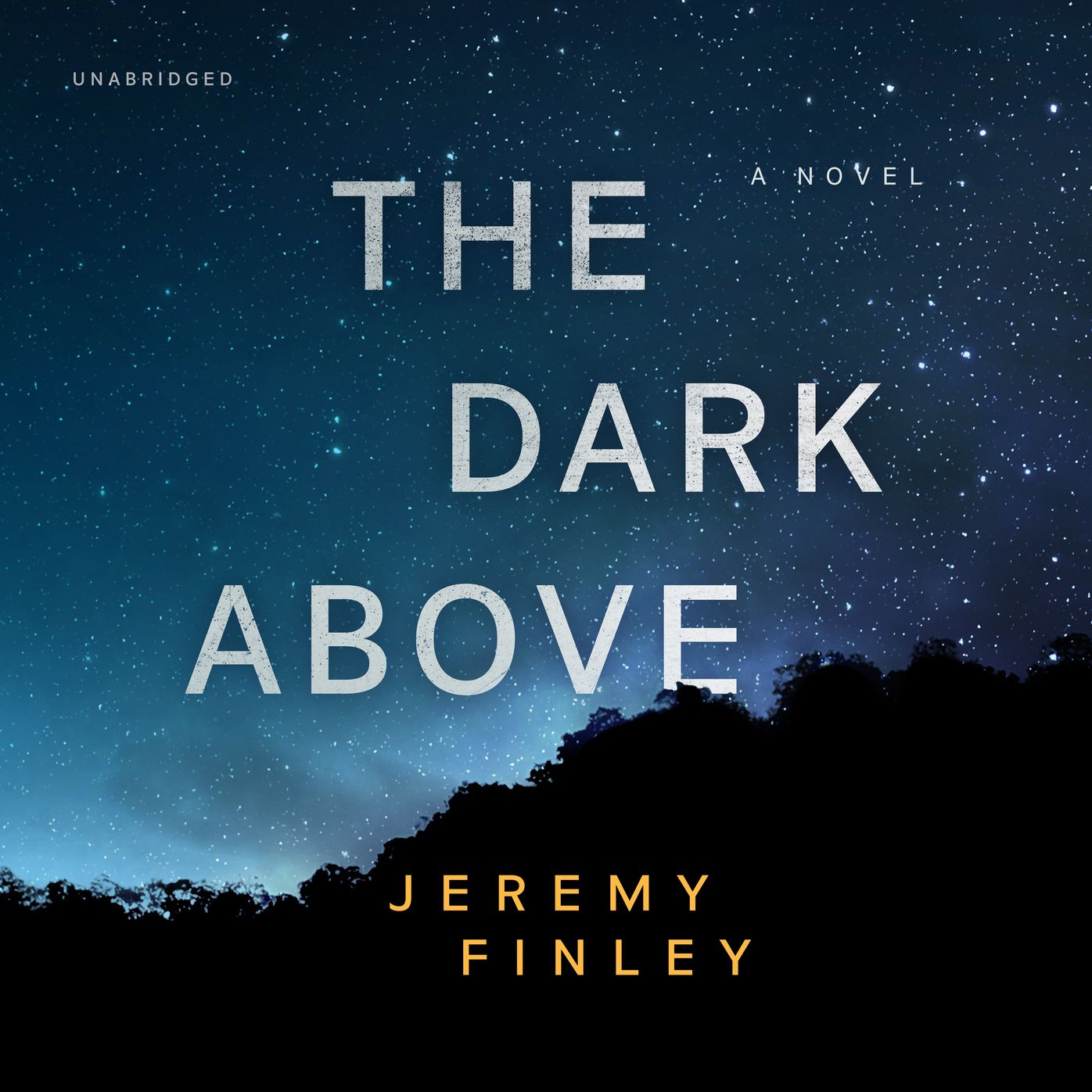 The Dark Above: A Novel