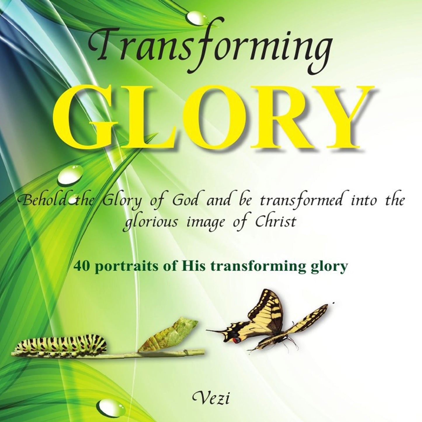 Transforming Glory: 40 Portraits of His Transforming Glory